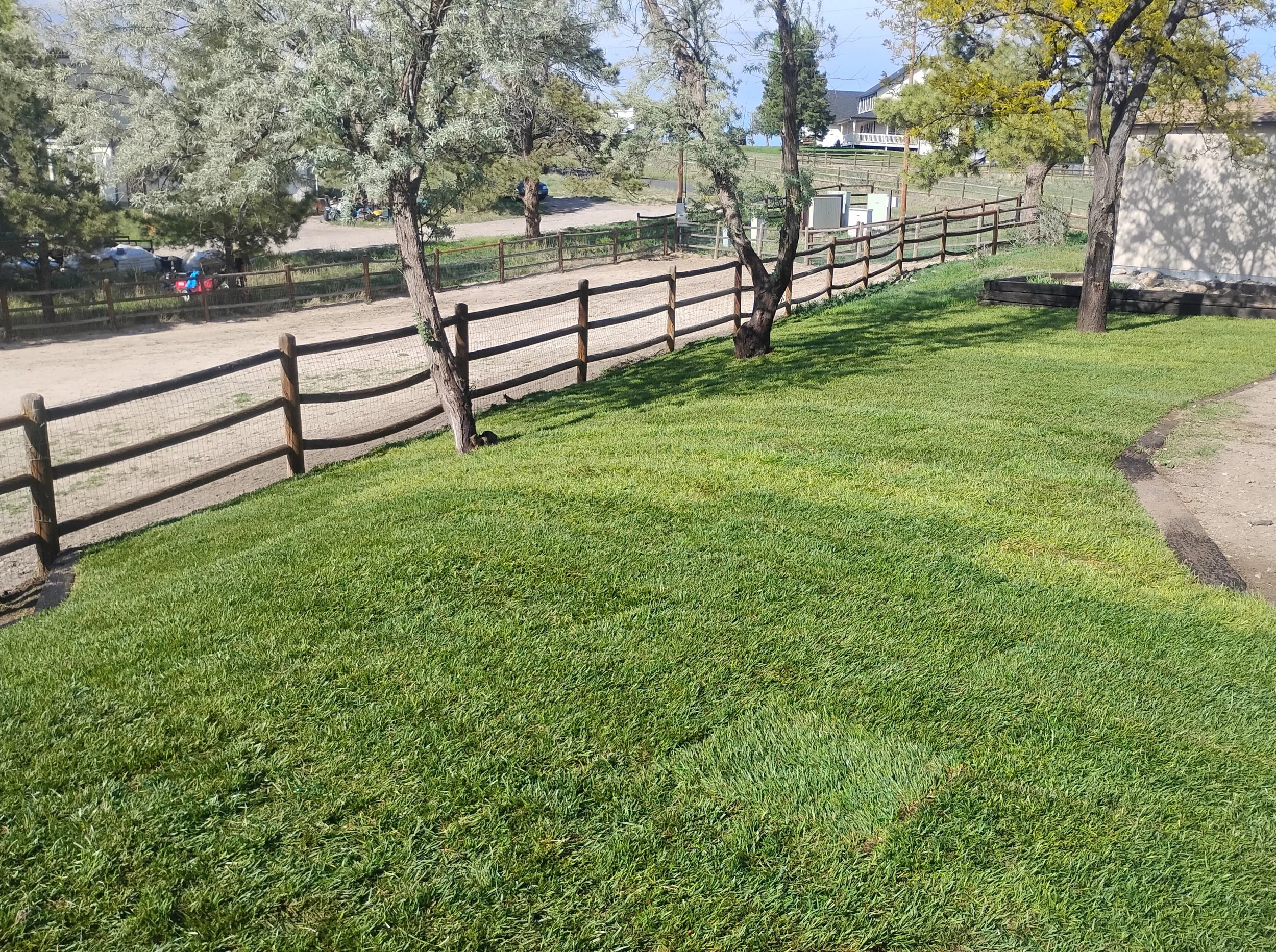 Sod installation by Blue A.R.C. Services.