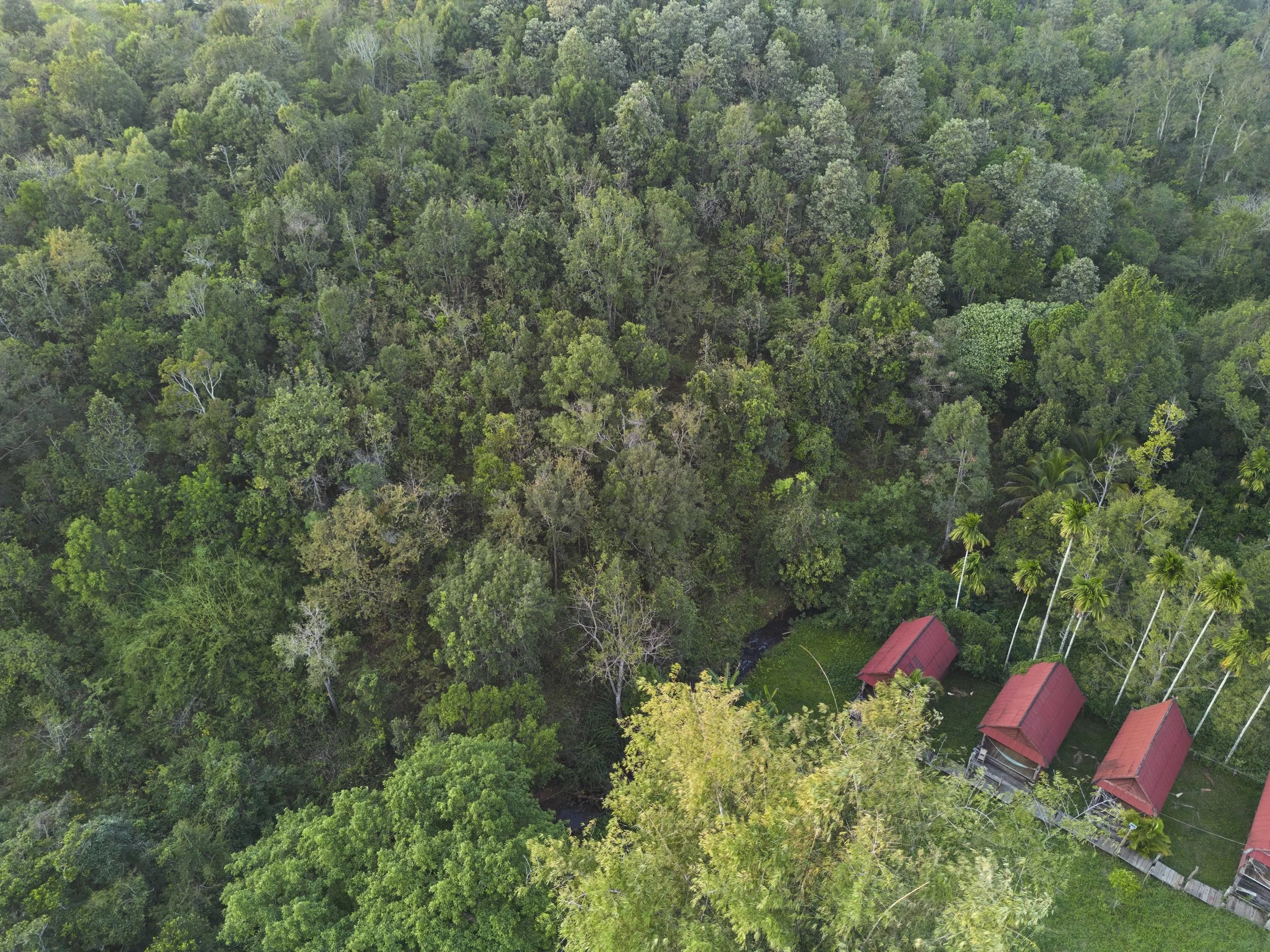 jbfoto_03_071DJI_0116_web.jpg