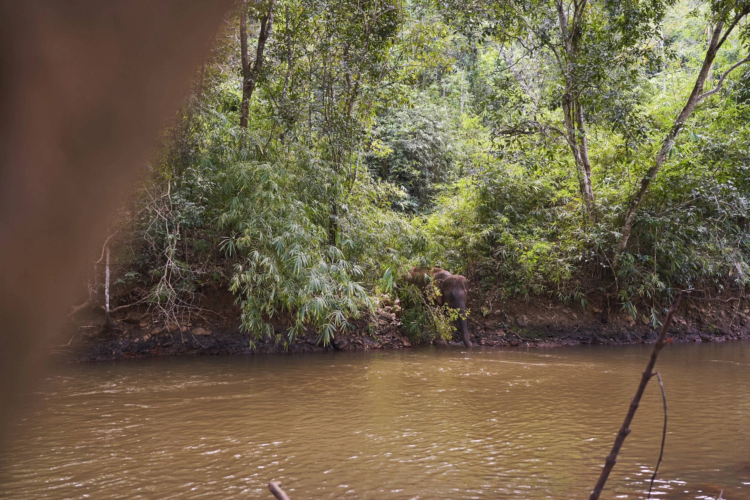 Thai Cambo - das Fazit - und das Video