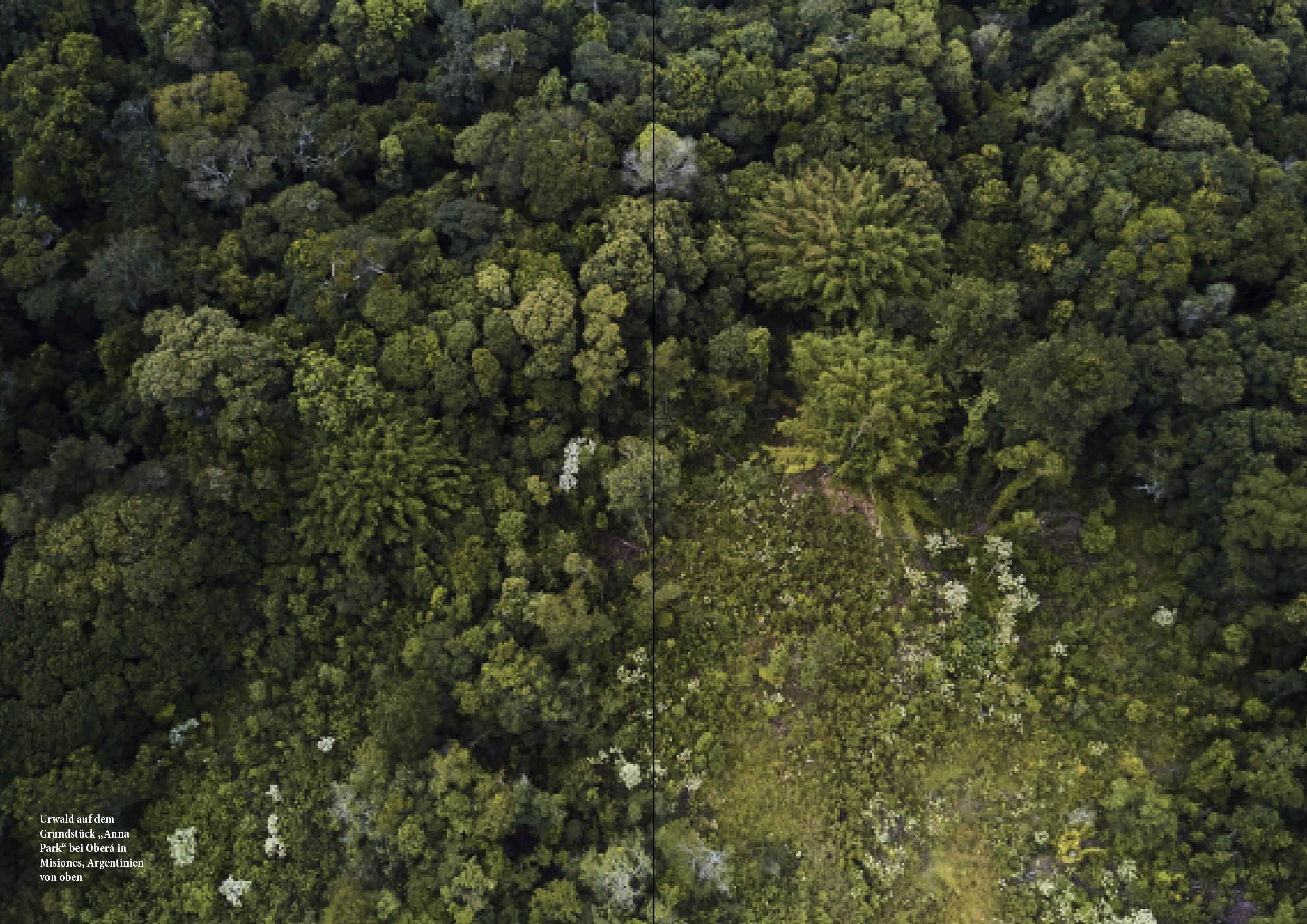 wo was wächst 2seitig2.jpg