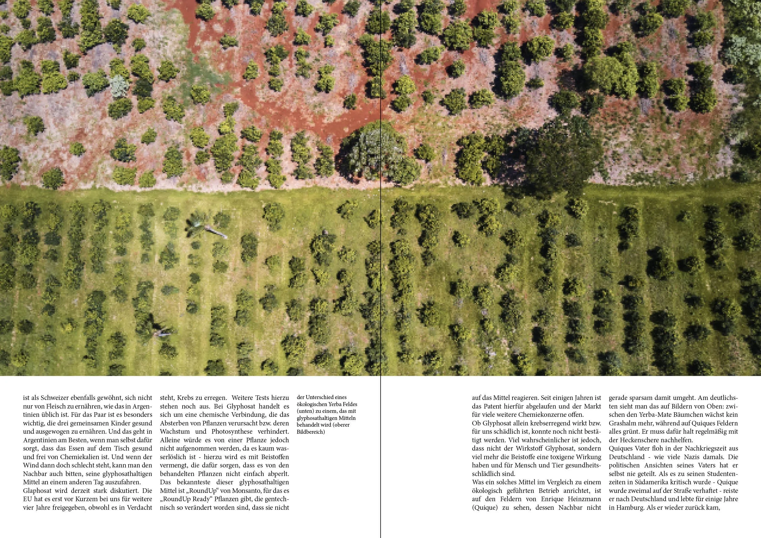 wo was wächst 2seitig4.jpg