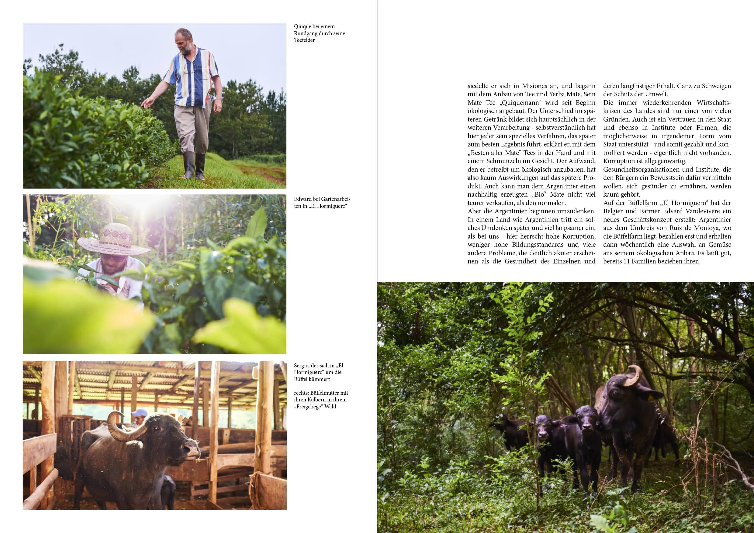 wo was wächst 2seitig5.jpg