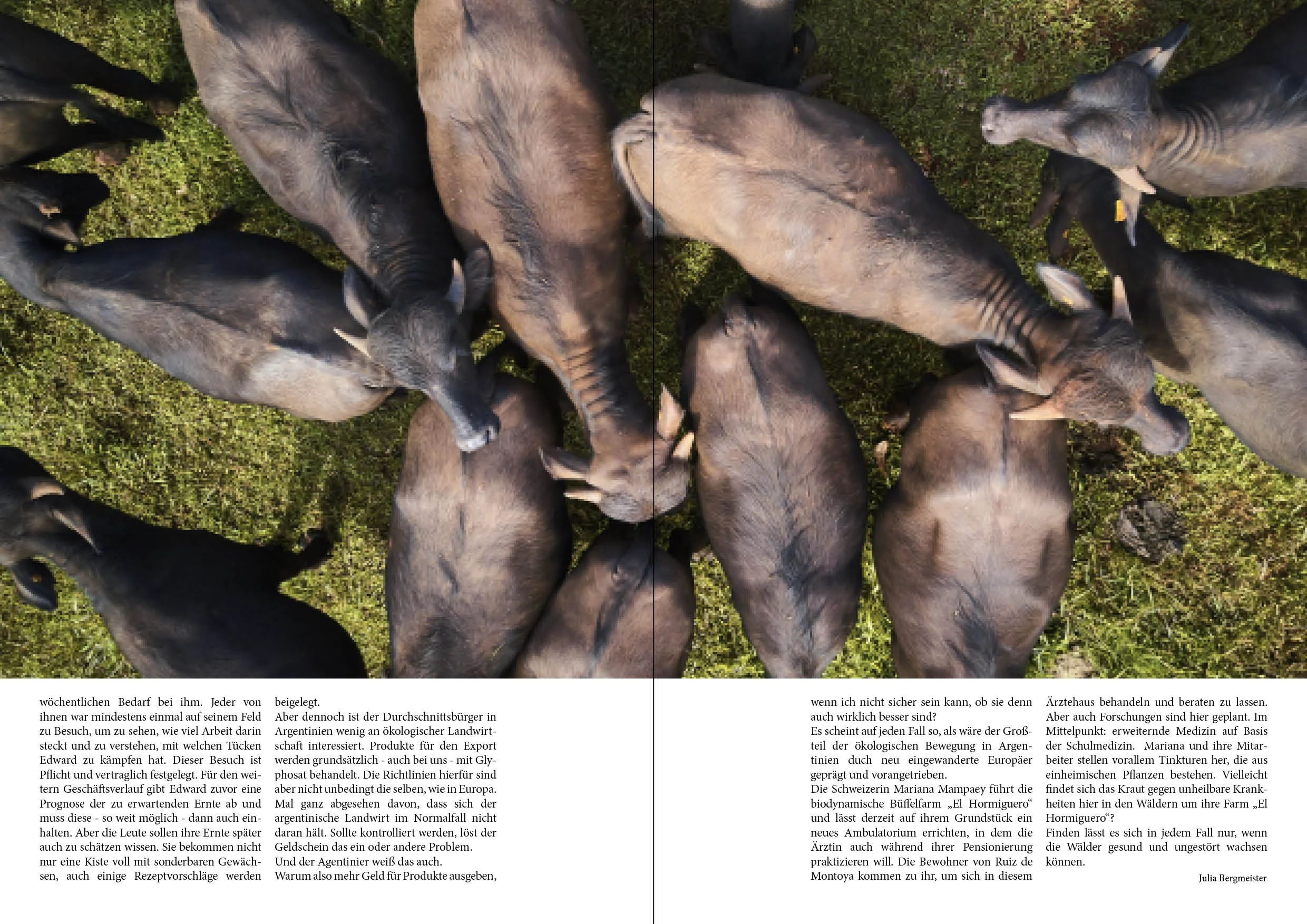 wo was wächst 2seitig6.jpg