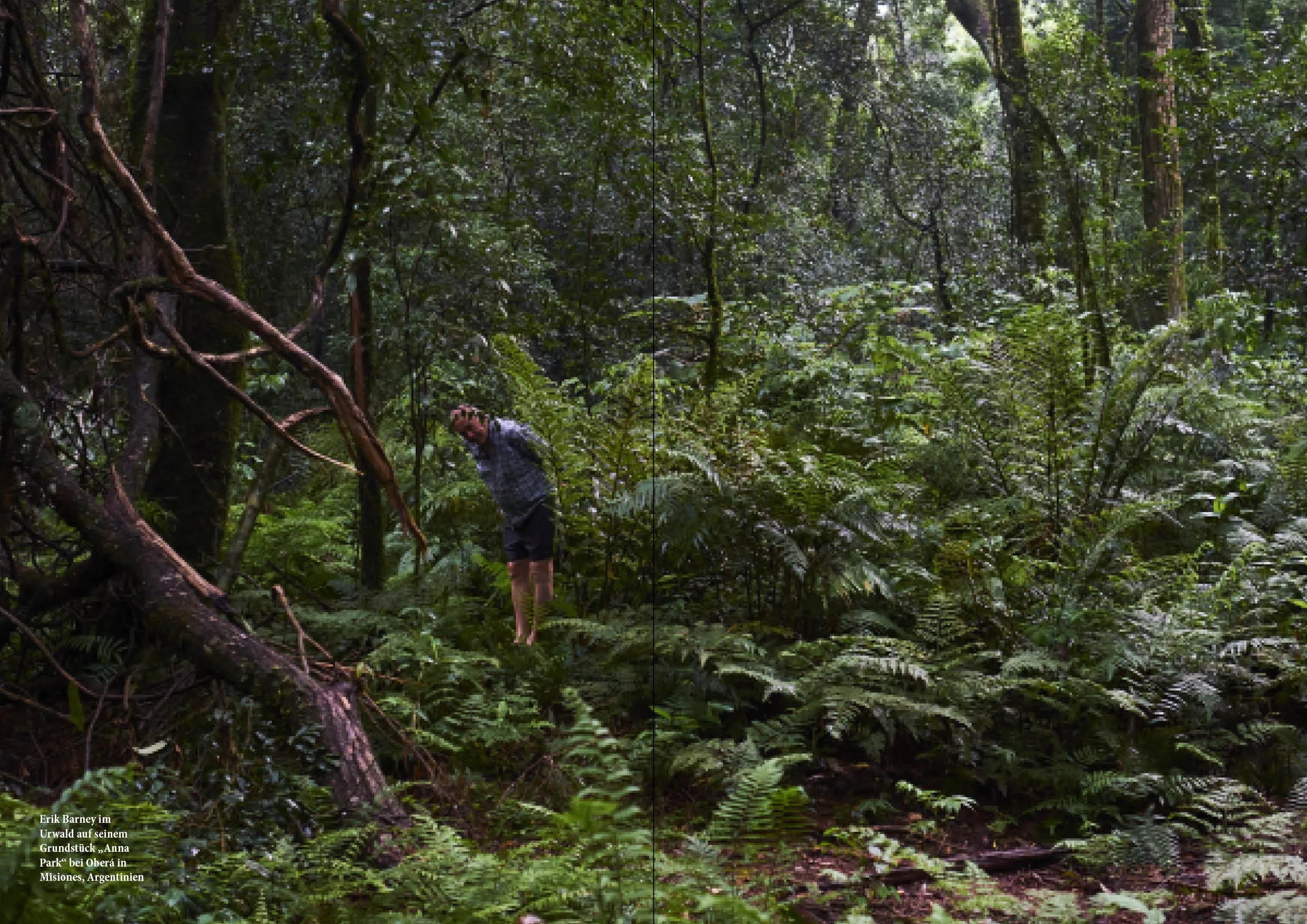 wo was wächst 2seitig7.jpg