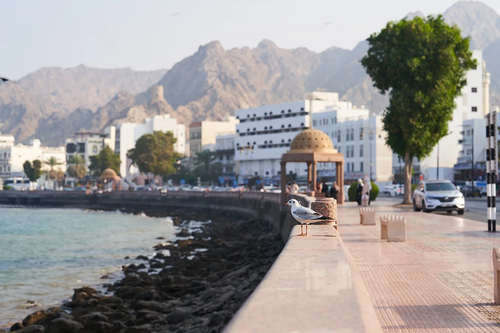 Oman - Capital Area &amp; das Gebirge