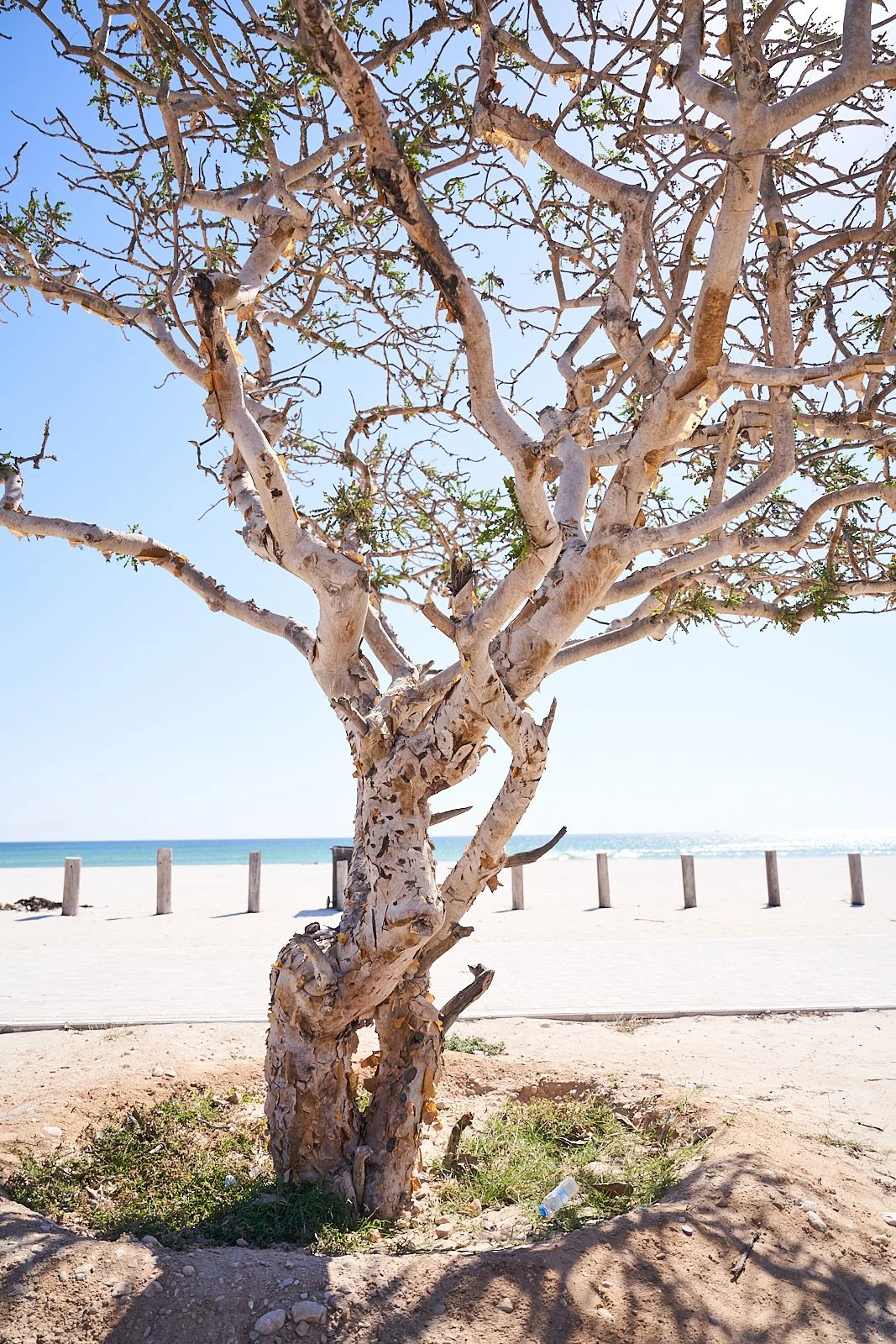 jbfoto_Oman_05__R3_4329_web.jpg
