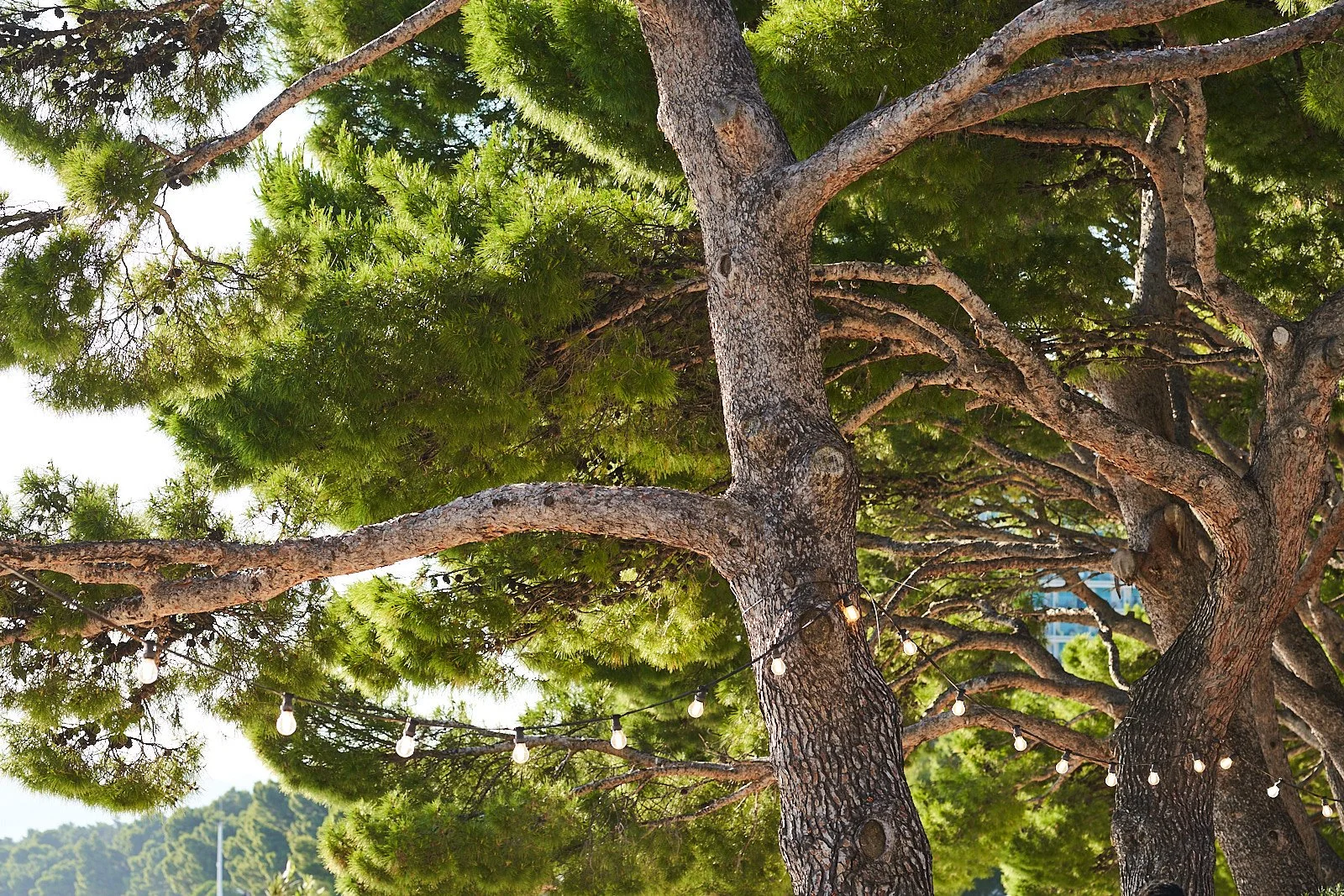 jbfoto_Brela_R3_6343_web.jpg