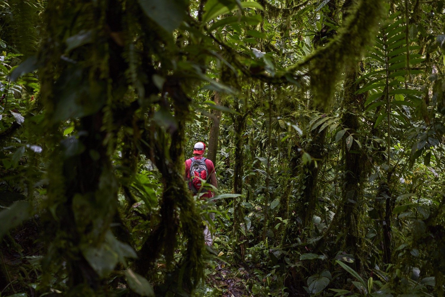 Touren ohne Wege - Panamas Westen