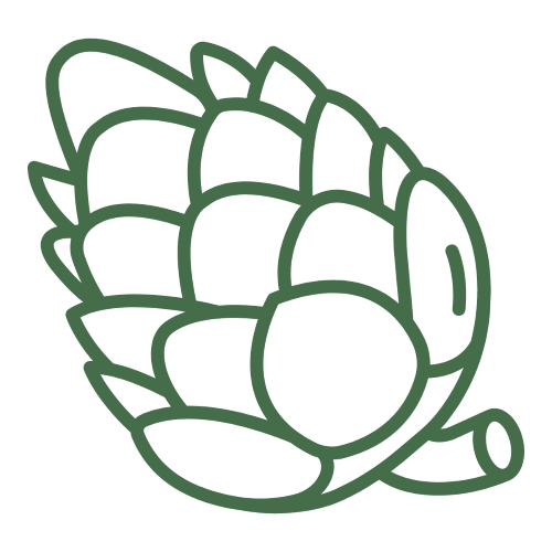 groundcover line drawn pinecone logo