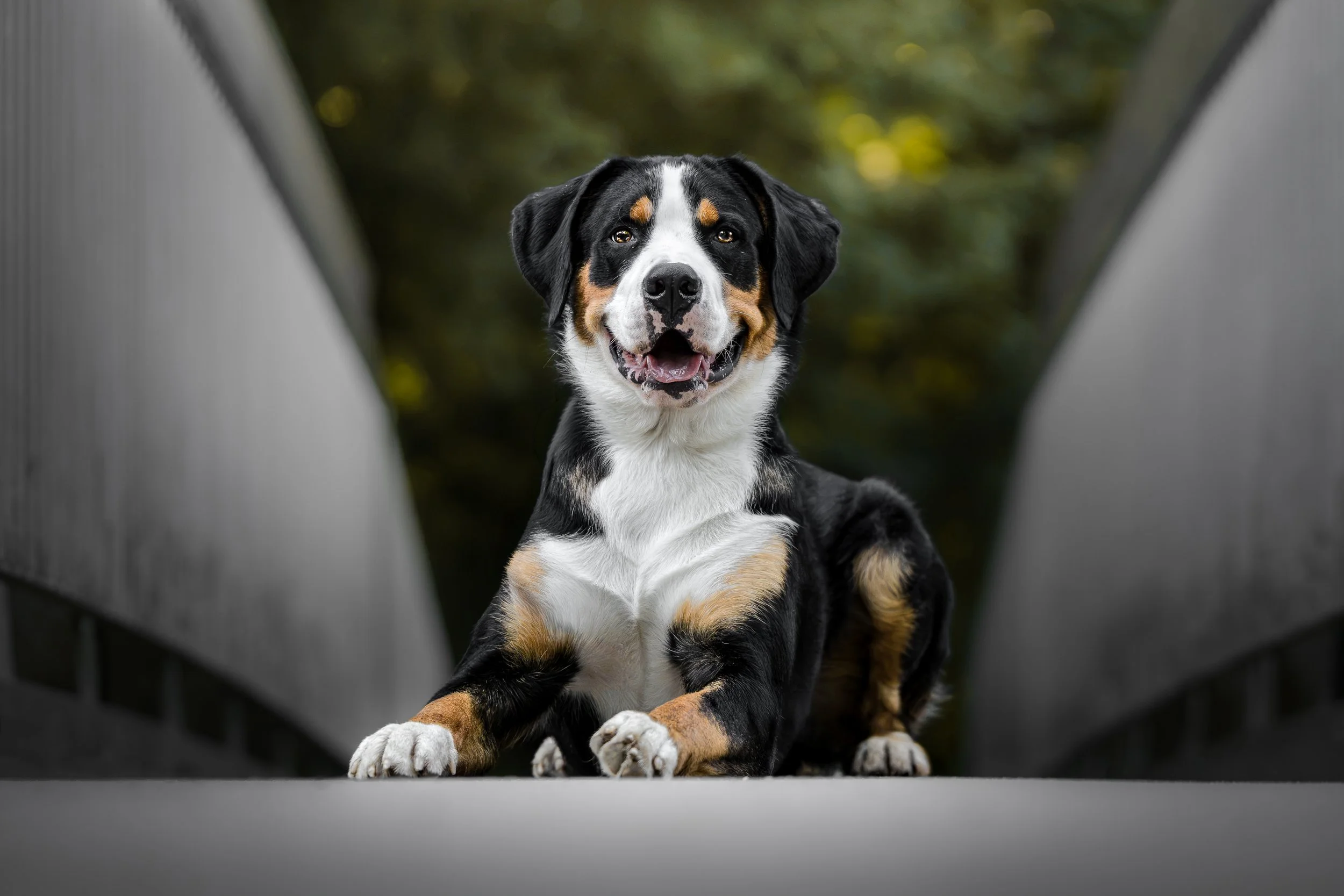 Loki_12-07-2026-5.jpg