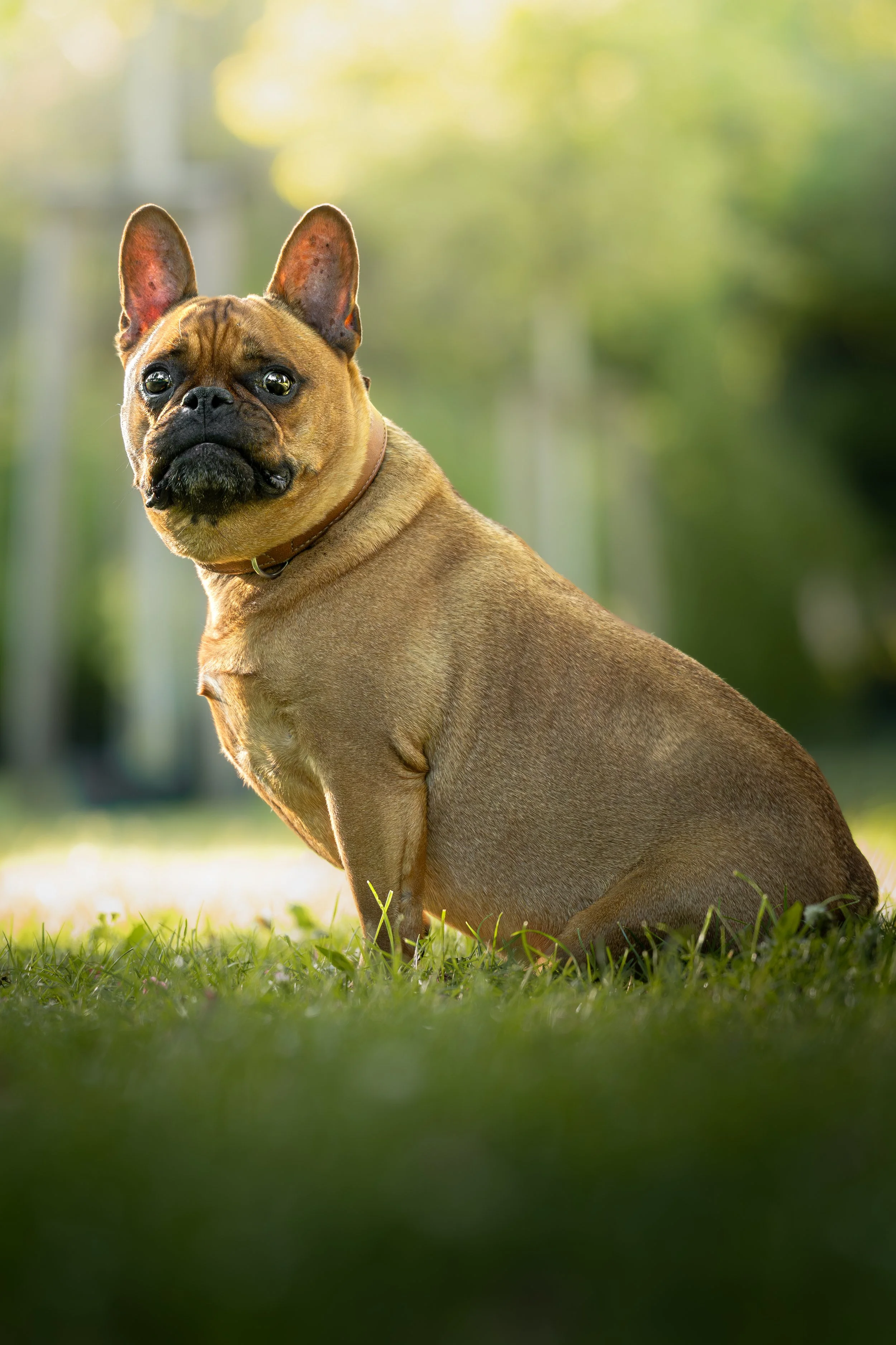Balu_02.05.26_6.jpg