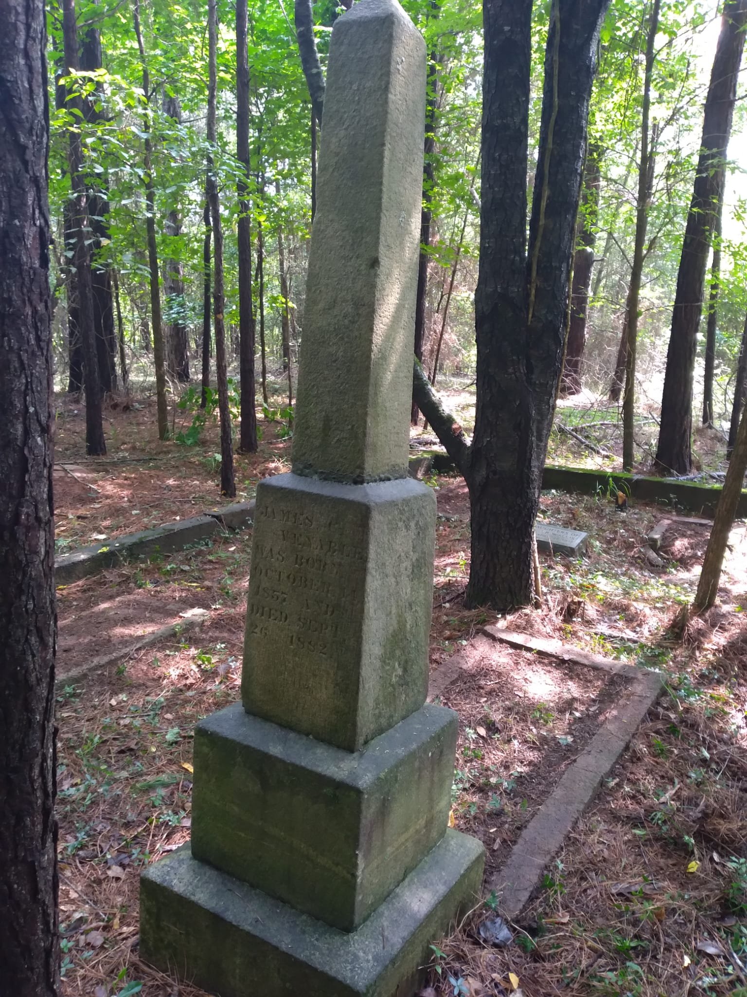 A tall, weathered stone monument in a wooded forested area, with inscriptions on its base, surrounded by trees and natural forest floor.