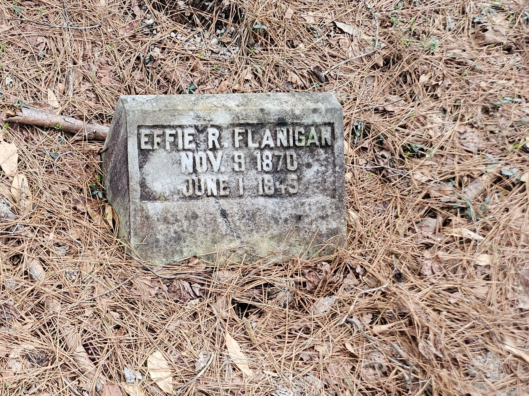 A weathered stone marker with inscribed text, surrounded by dry pine needles on the ground.