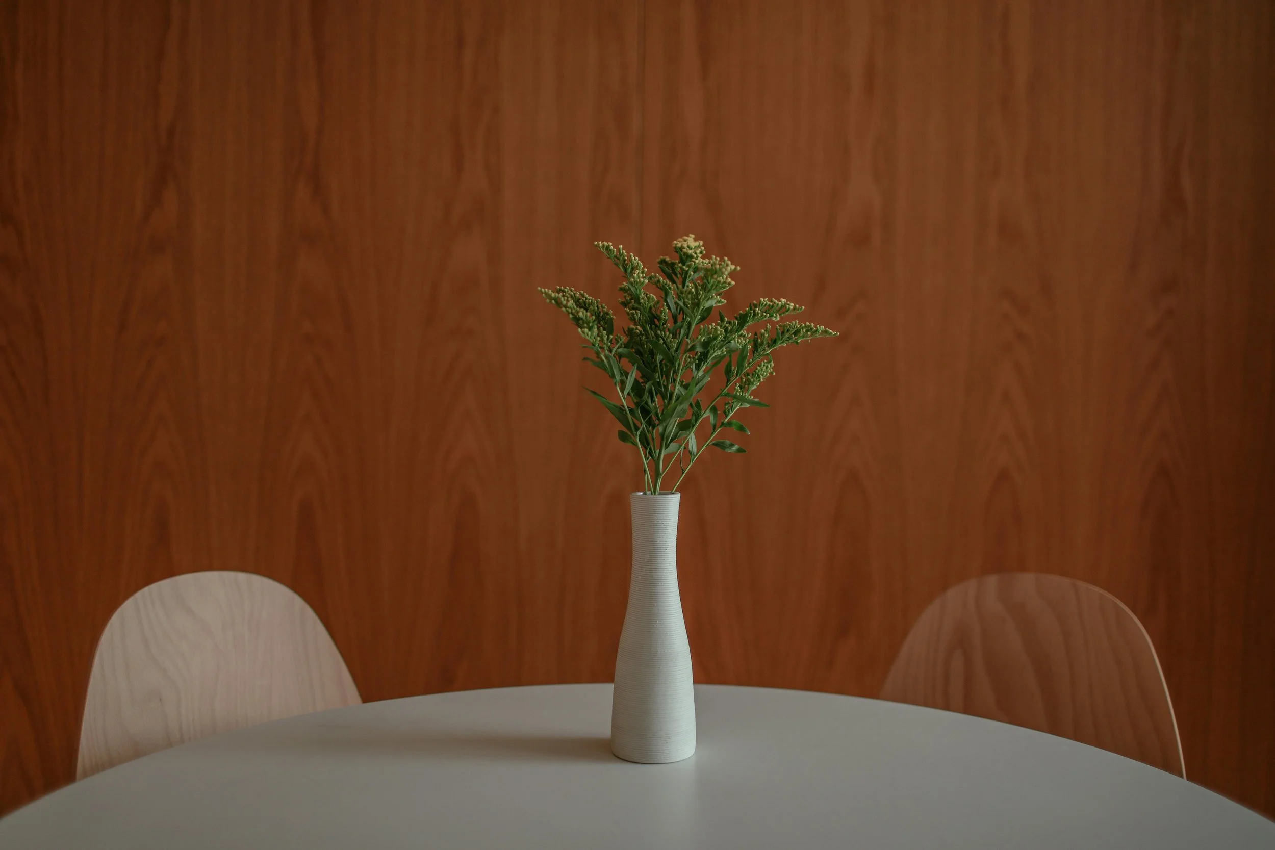White vase with green foliage on a welcoming table symbolizing growth and renewal