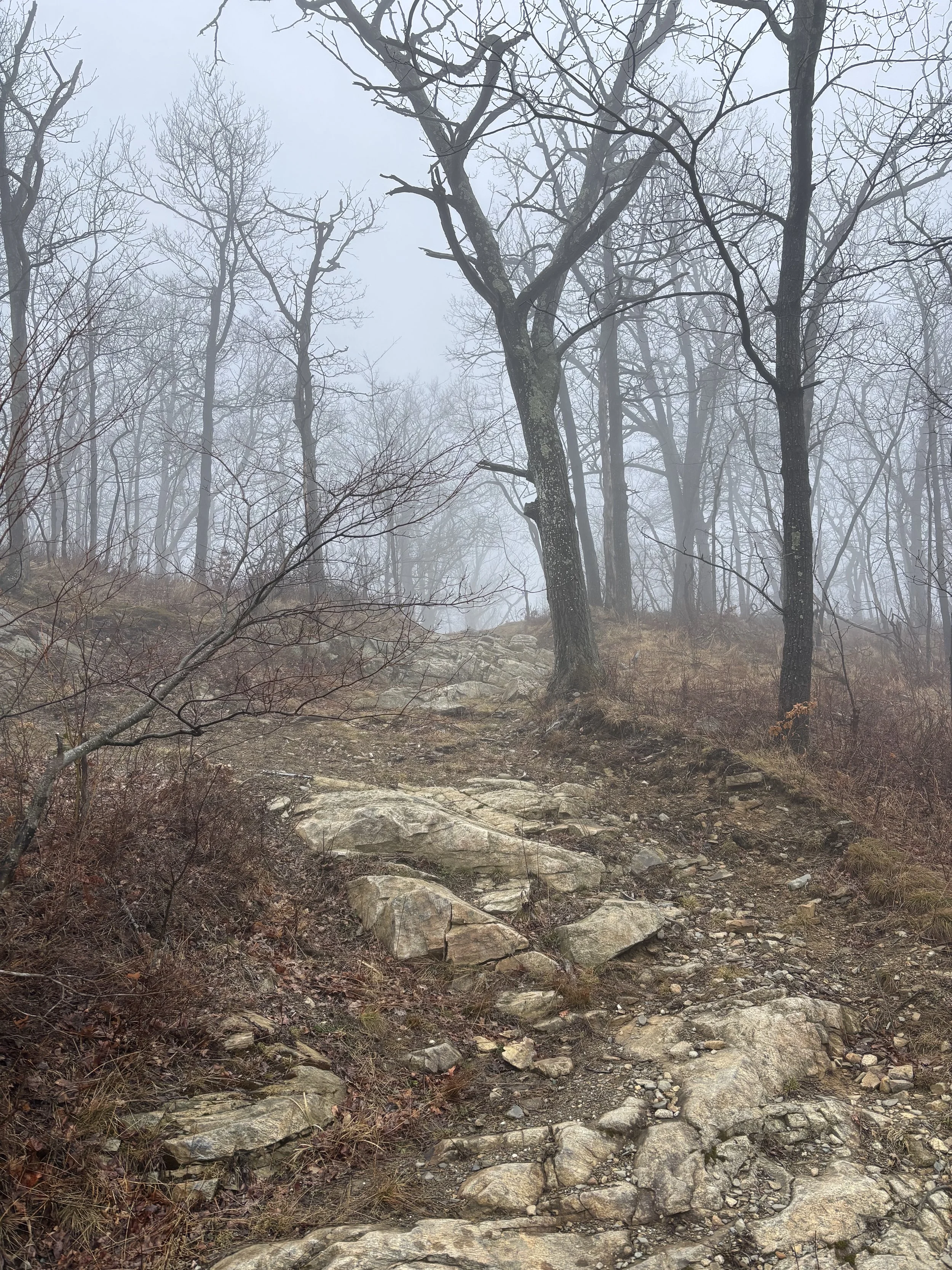 The Wavement of the Brook