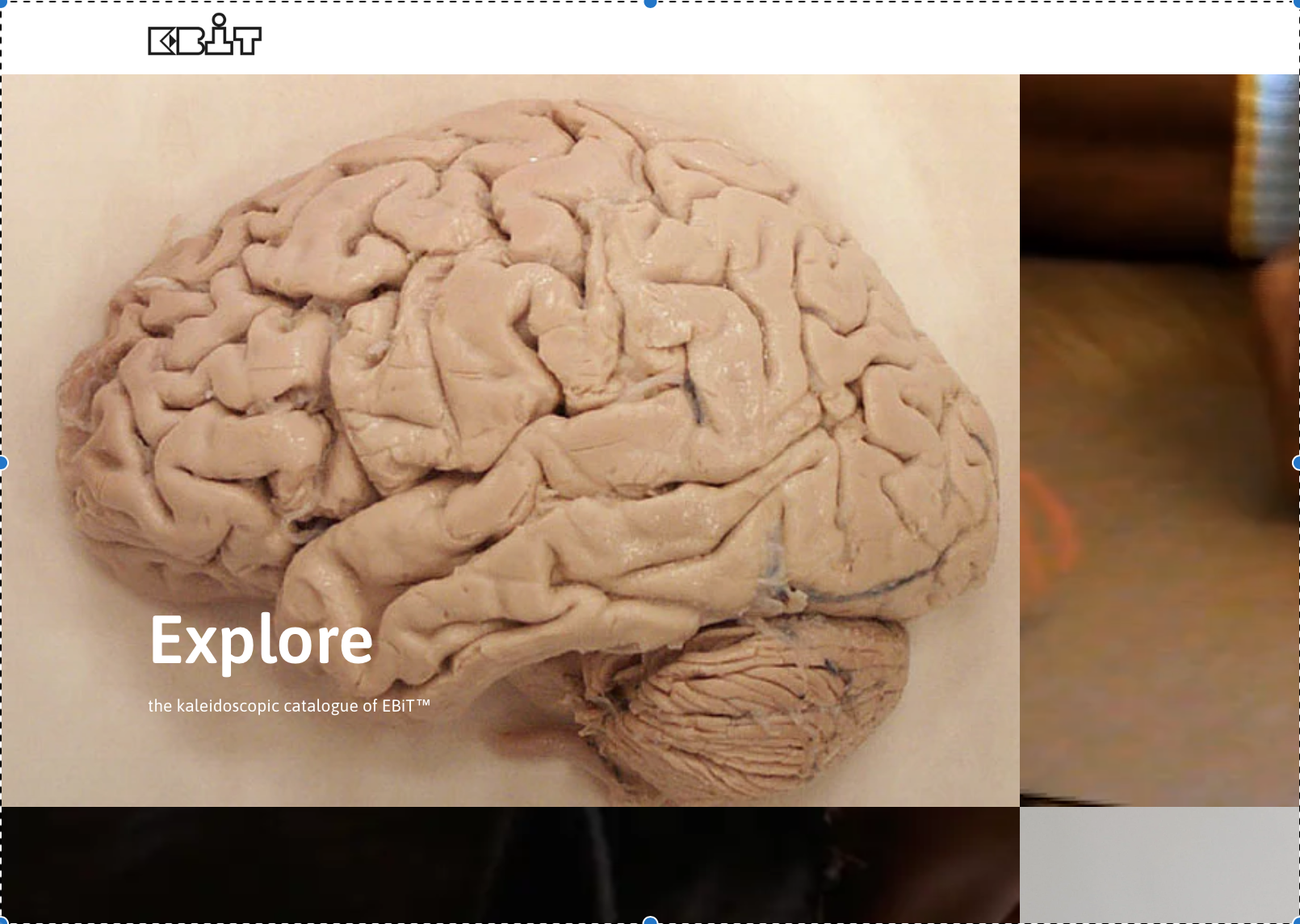 Simon Whitehouse wants you to wear your Heart on your Sleeve