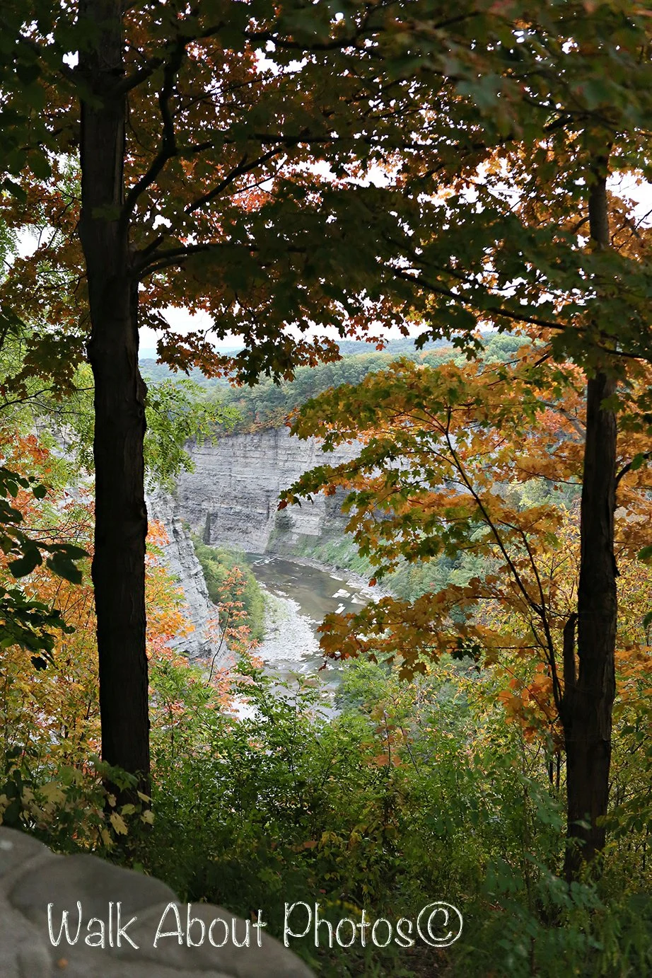 Fall in Letchworth copy 2.jpg