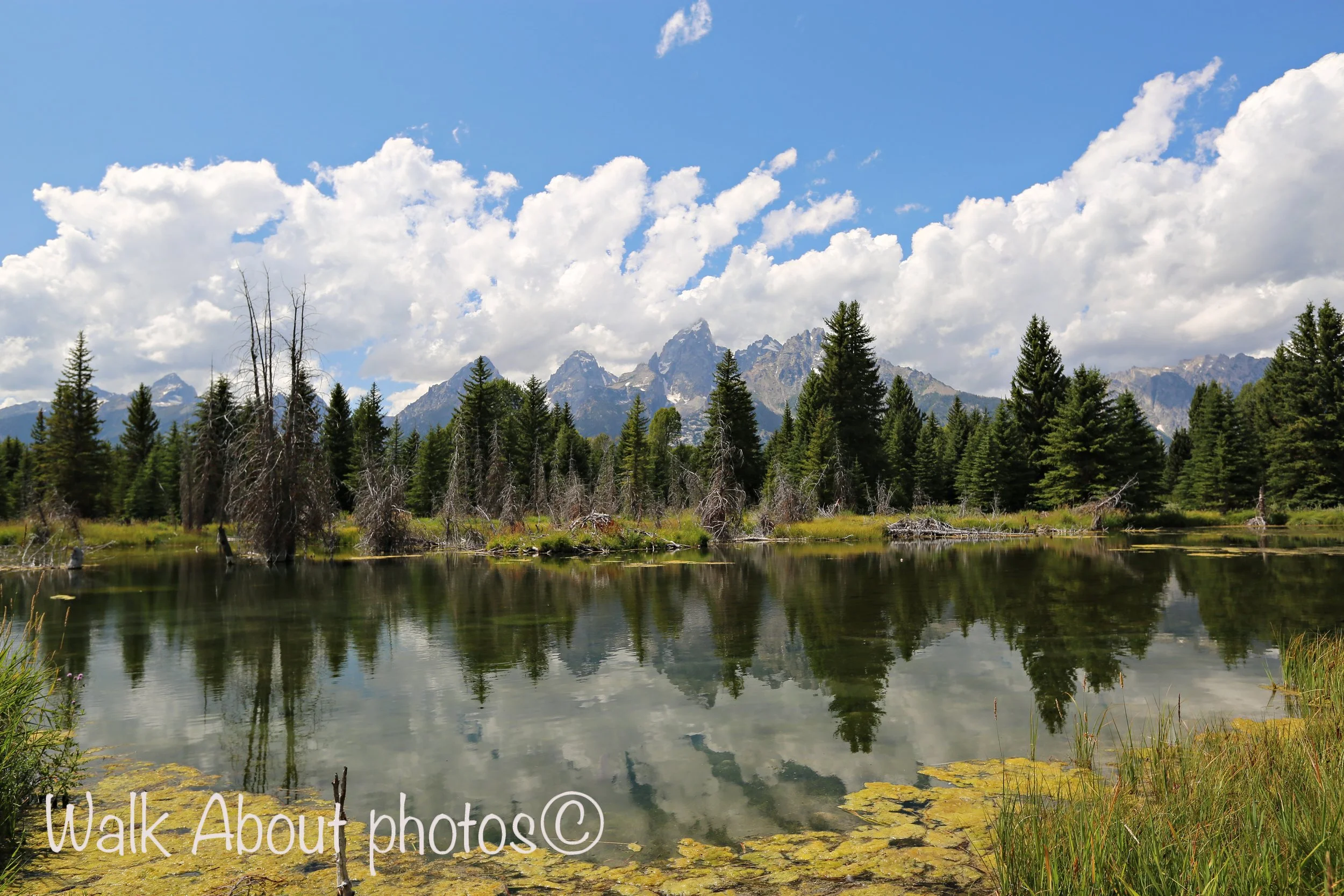 Schwabacher copy 2.jpg