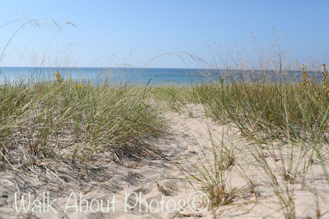 Sunny Warm Sand copy 2.jpg