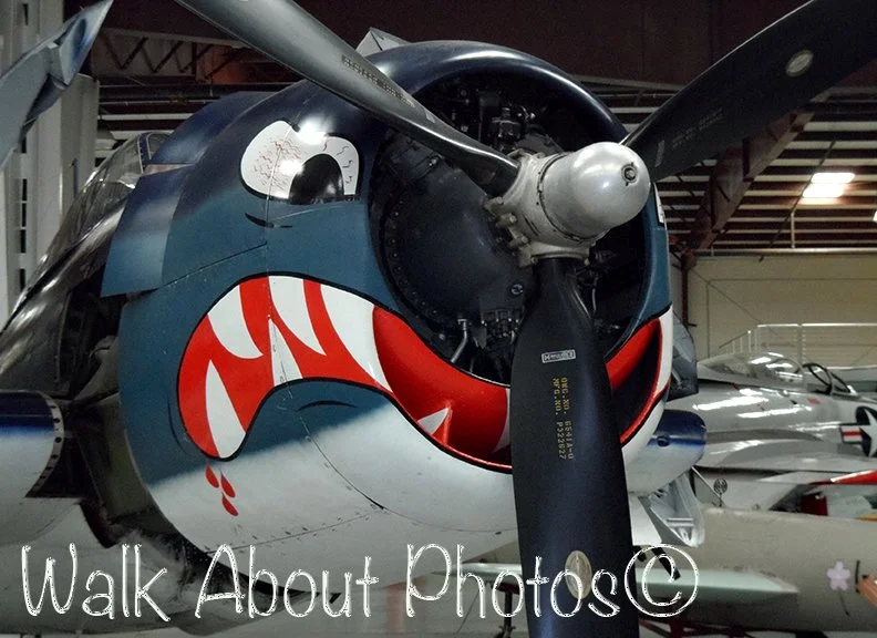 _hellcat copy 3.jpg
