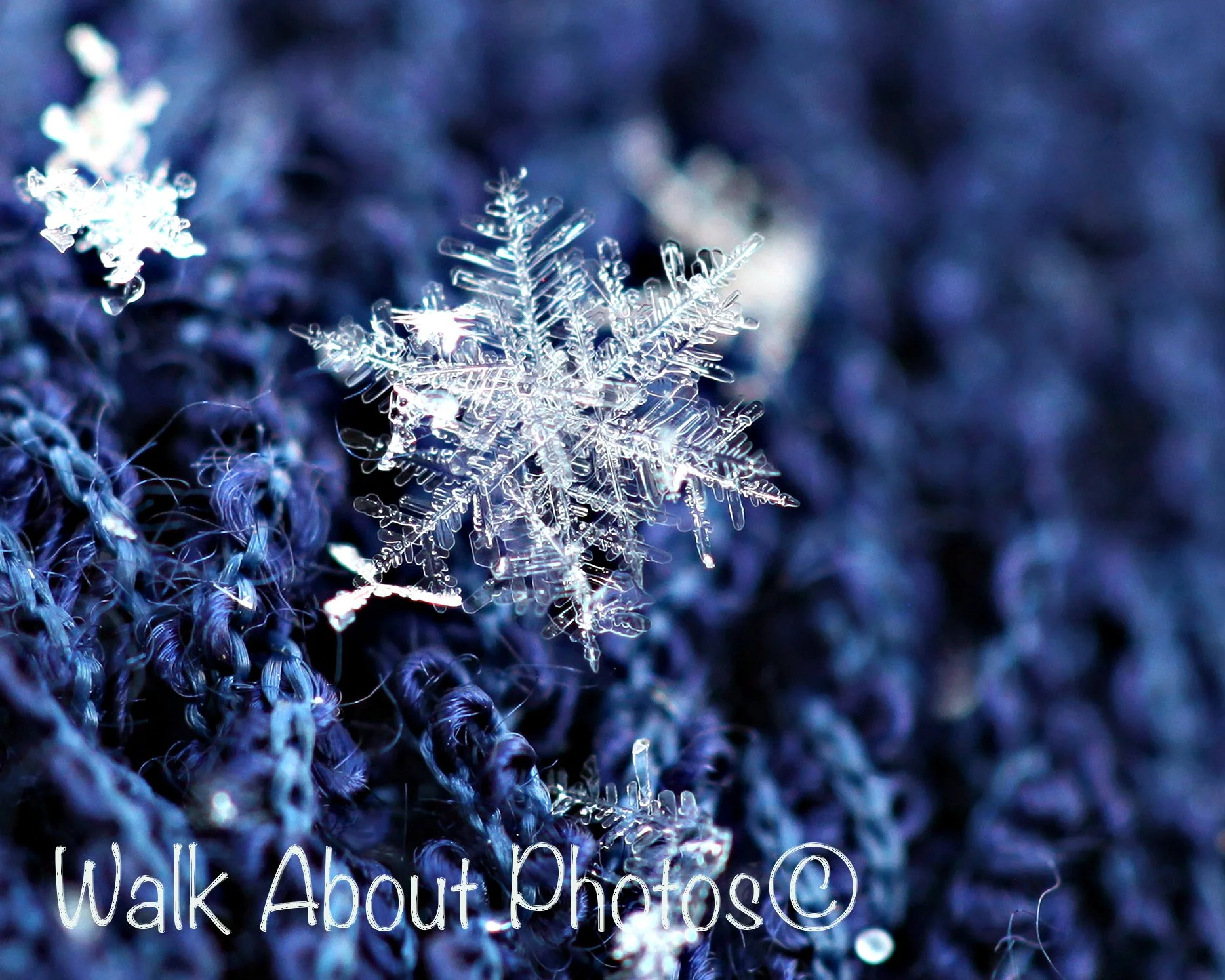 SNOWFLAKE COLLECTION (NO CHRISTMAS)