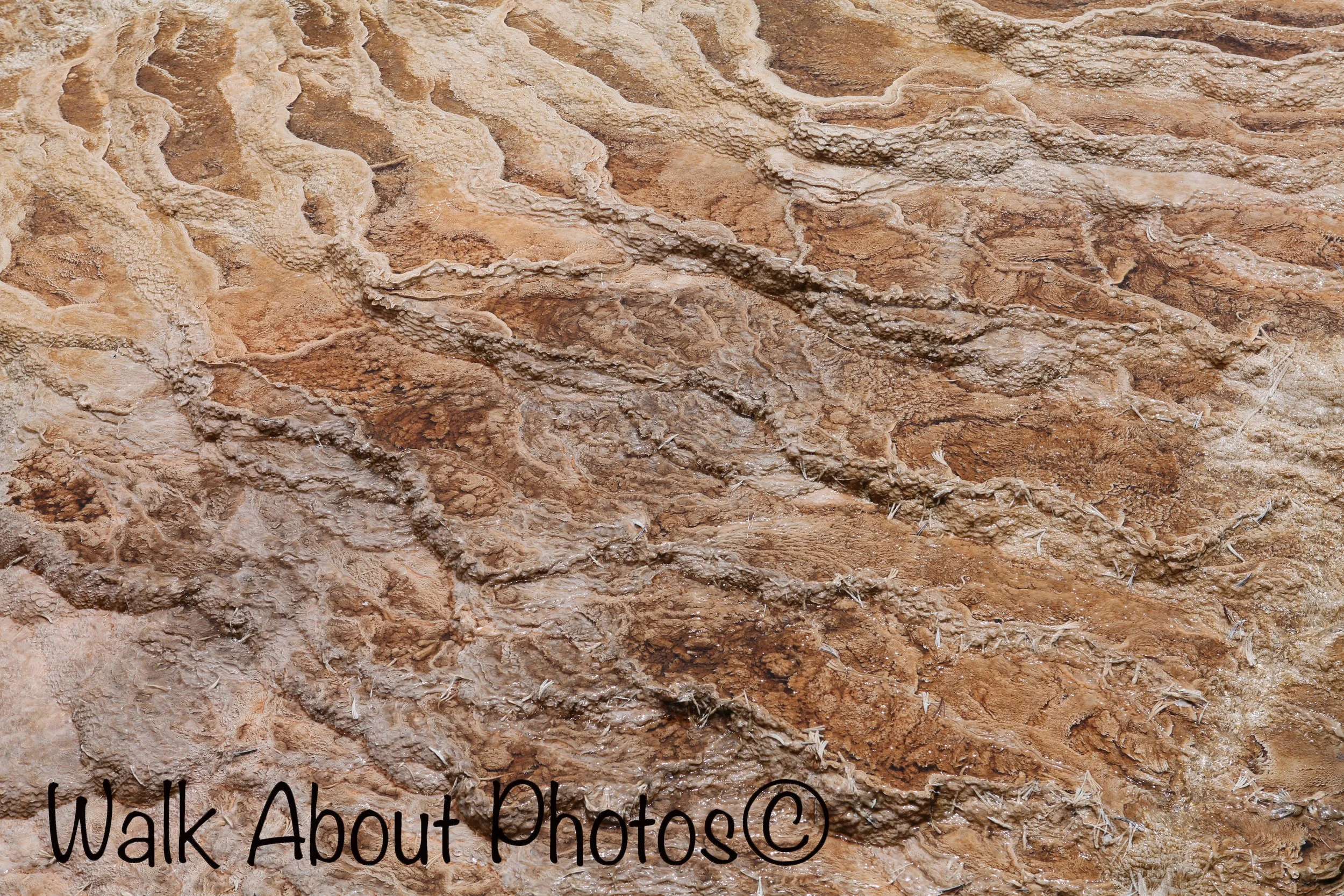texture overload copy 2.jpg
