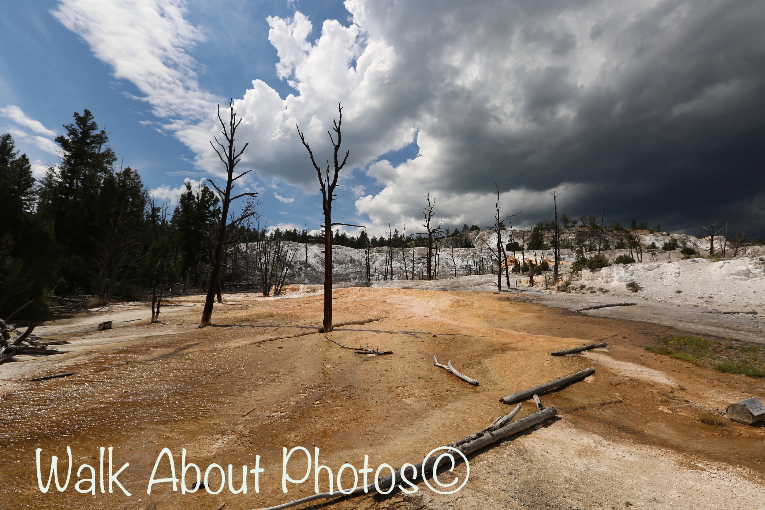 approaching storm copy 2.jpg