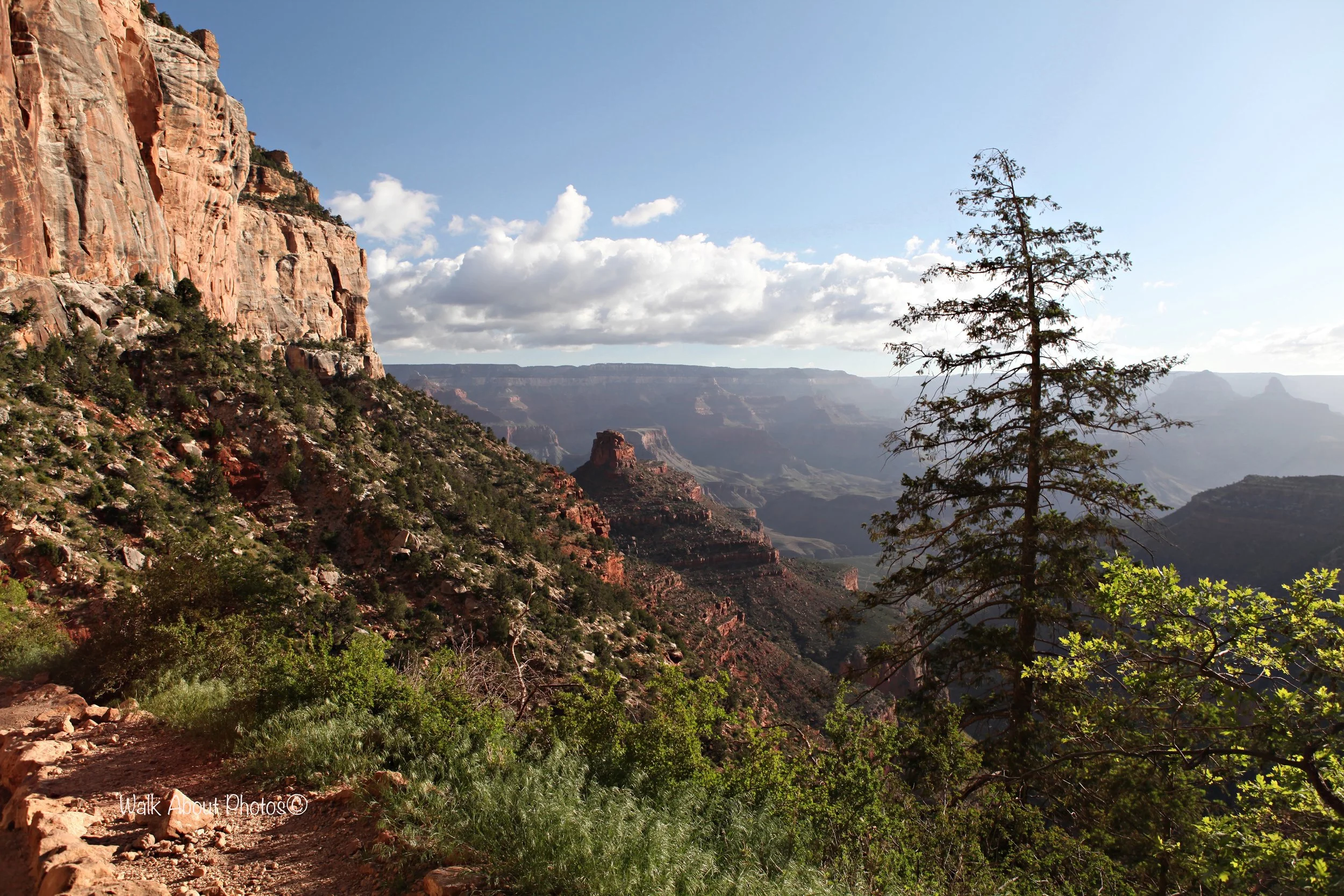 The Bright Angel Trail