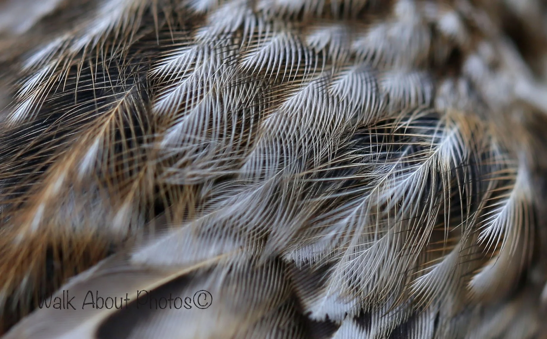 TEXTURES GREETING CARD COLLECTION