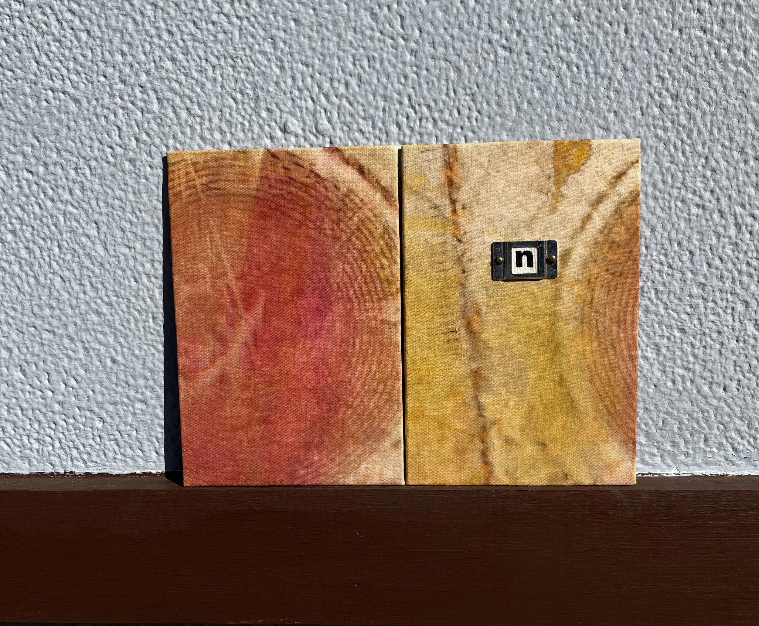 "N" Book Cover