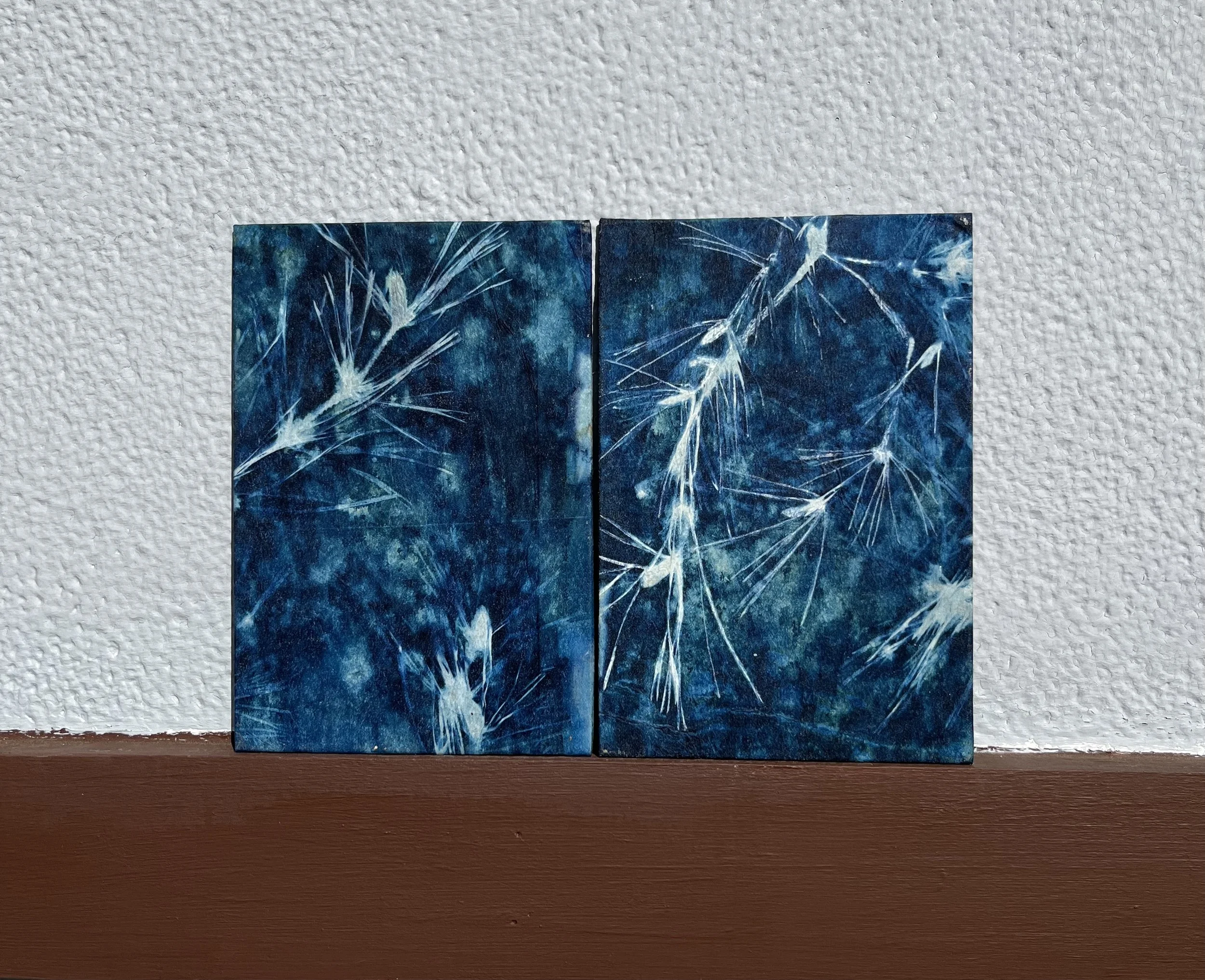 Pine Cyanotype Hard Book Cover