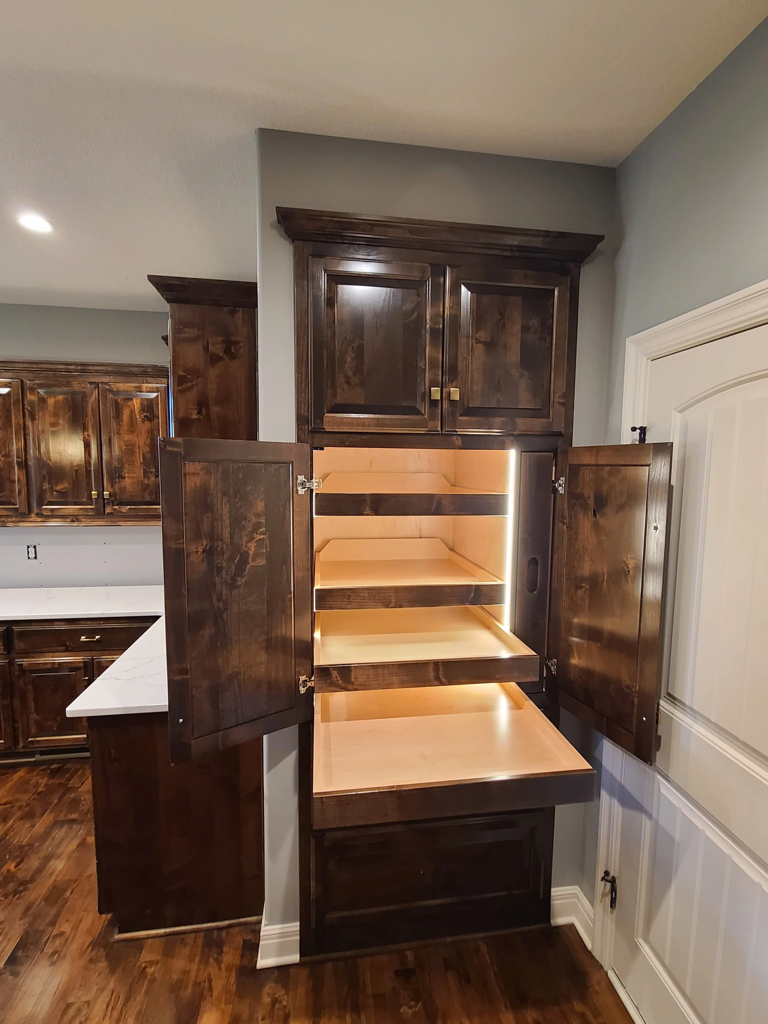 Pull-Out Shelves W/Lighting