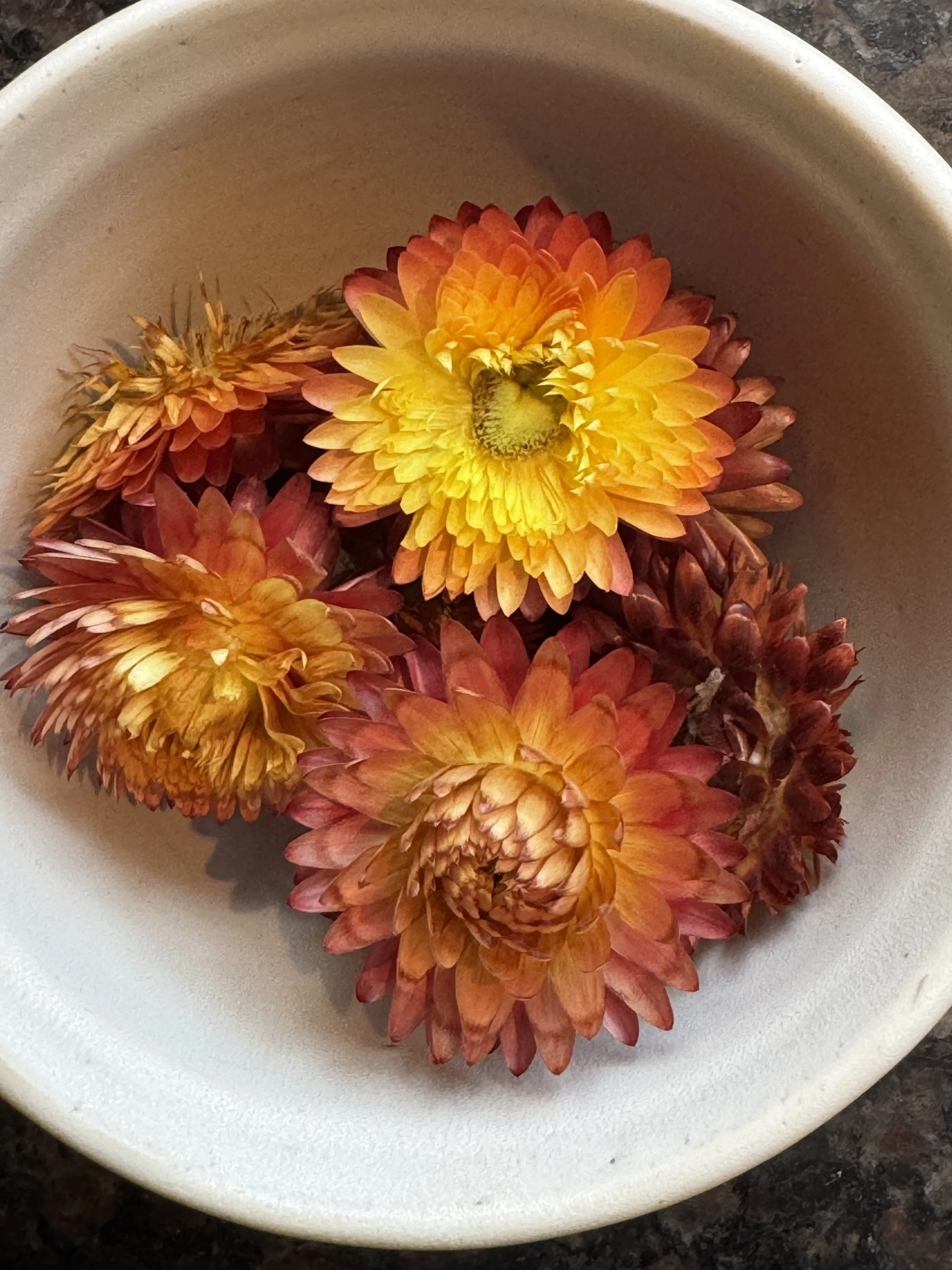 Thrown Bowl - straw flowers from my garden