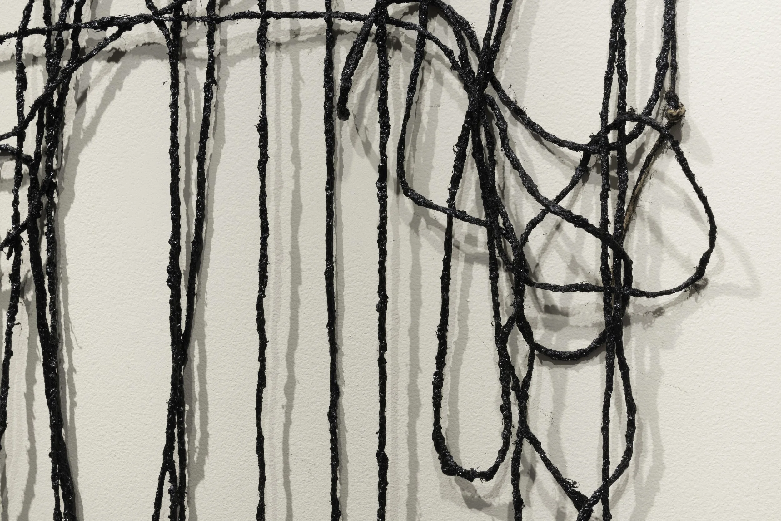 Lacuna(e), Capstone Installation
Tar and twine
2016