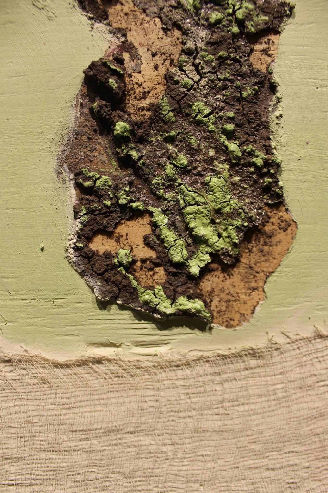 Dirty Constructs (detail)
Dirt, acrylic, oil, cloth and wood
2016