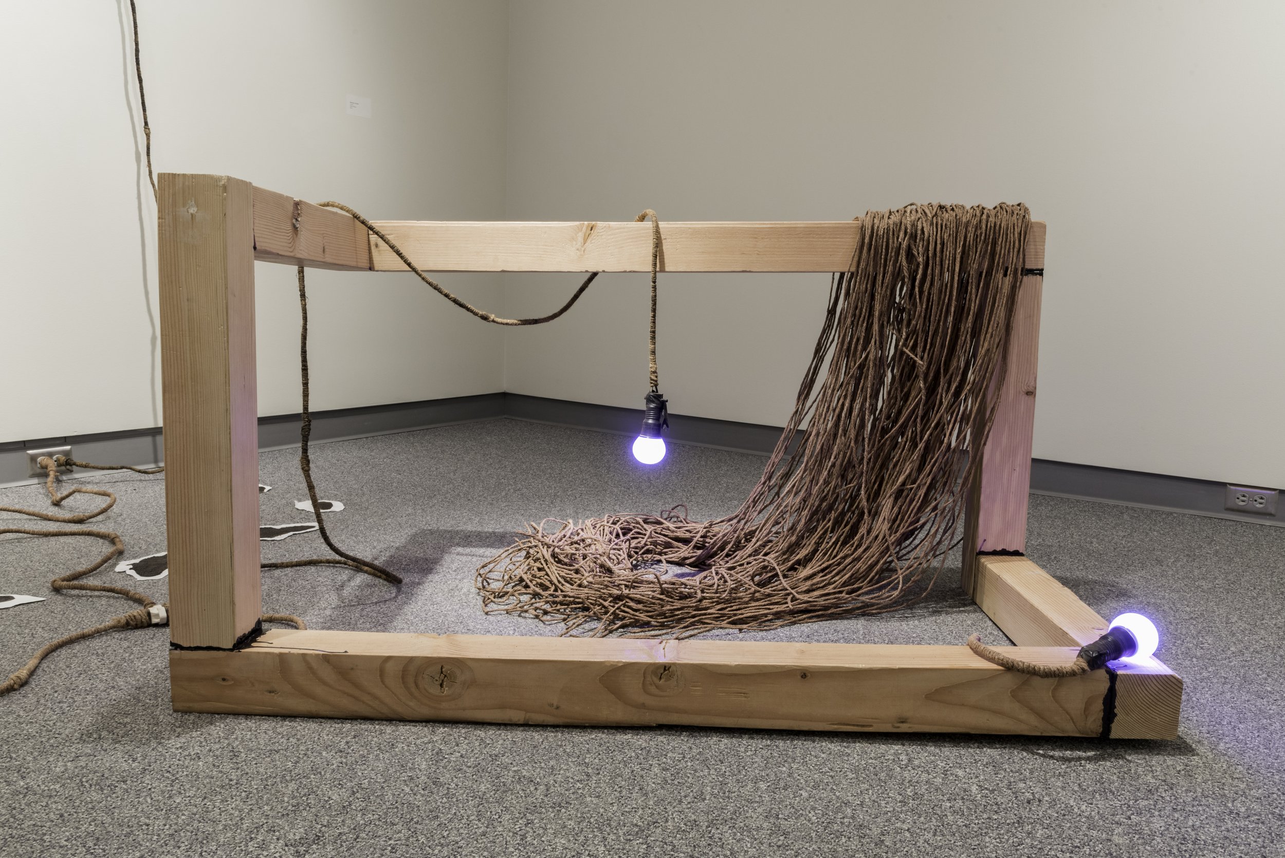 Lacuna(e), Capstone Installation
Wood, tar, clay, twine and bulbs
2016