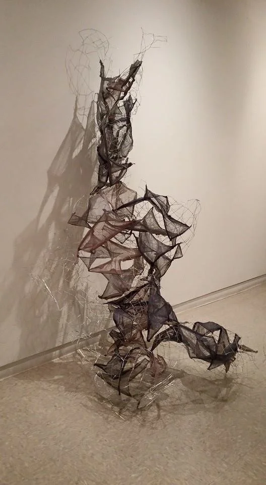 Lean, 3'x5'
Wire, cloth and enamel
2016