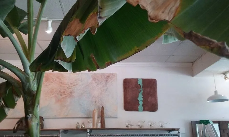 Cell + World, Selected Works for Stella Boutique