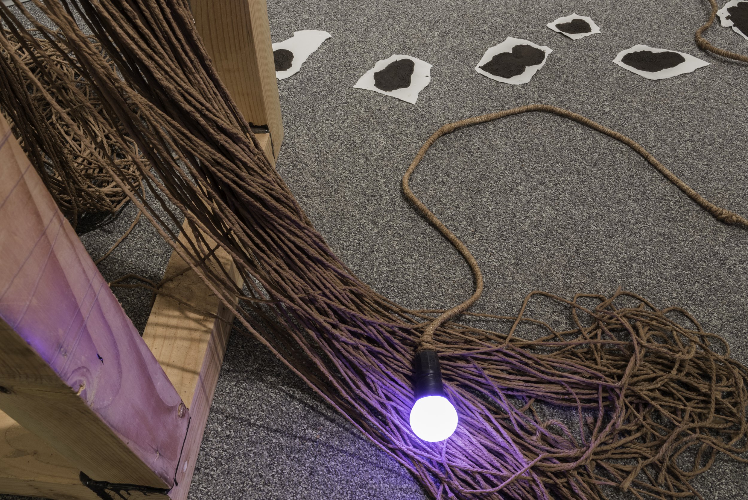 Lacuna(e), Capstone Installation
Wood, tar, oil, paper, sand, clay, twine and bulbs
2016