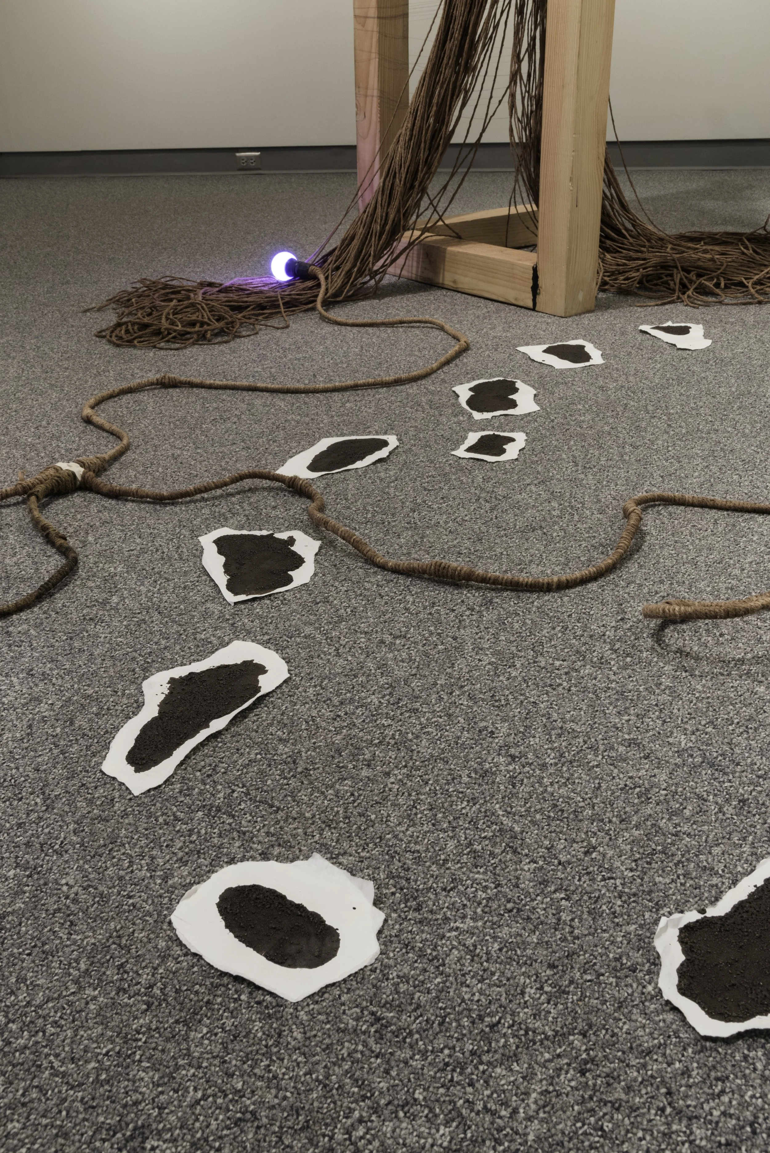 Lacuna(e), Capstone Installation
Wood, tar, oil, paper, sand, clay, twine and bulbs
2016