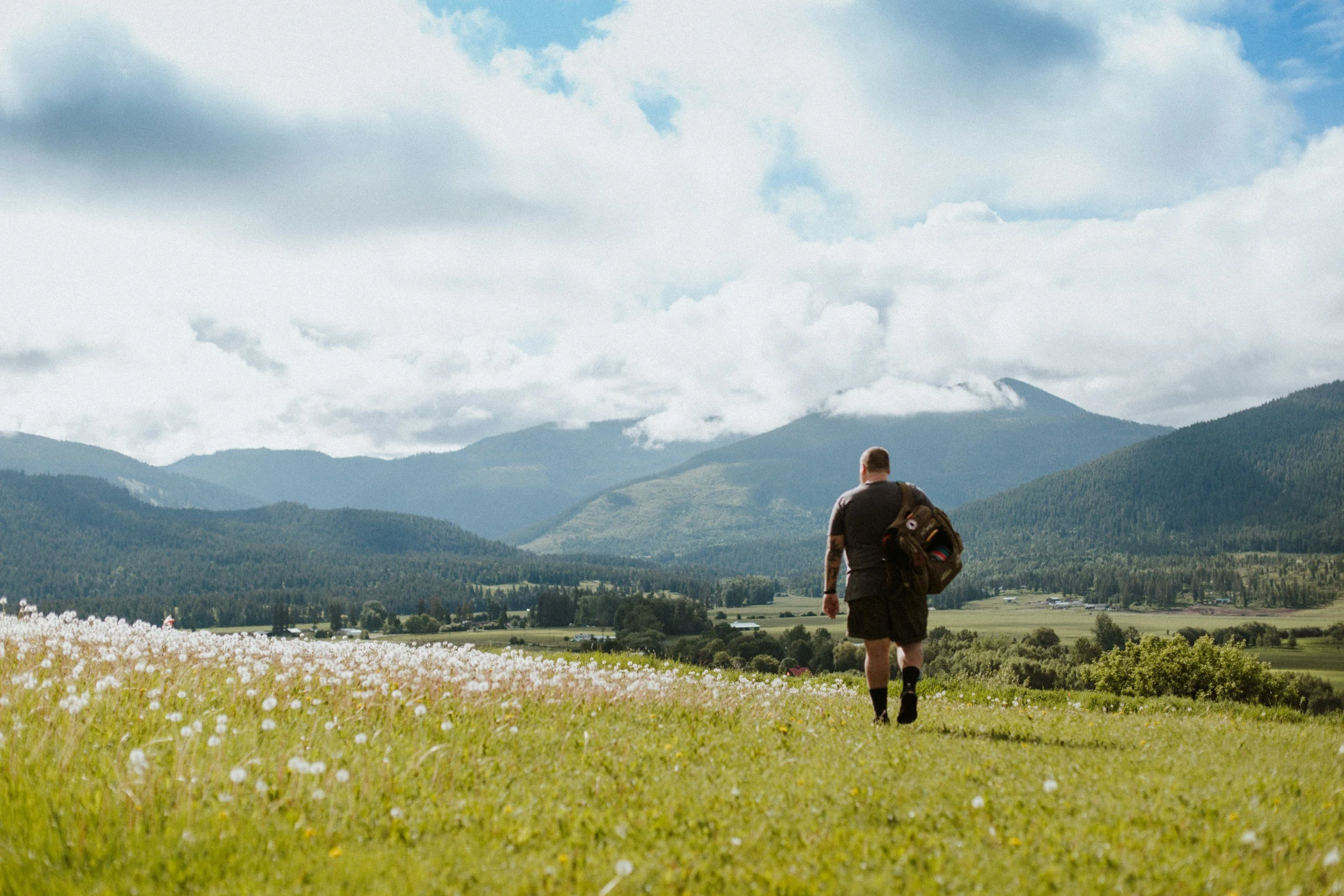 Ein Mann mit Rucksack wandert durch eine Wiese mit Blumen. Im Hintergrund sind Berge und ein bewölkter Himmel zu sehen.