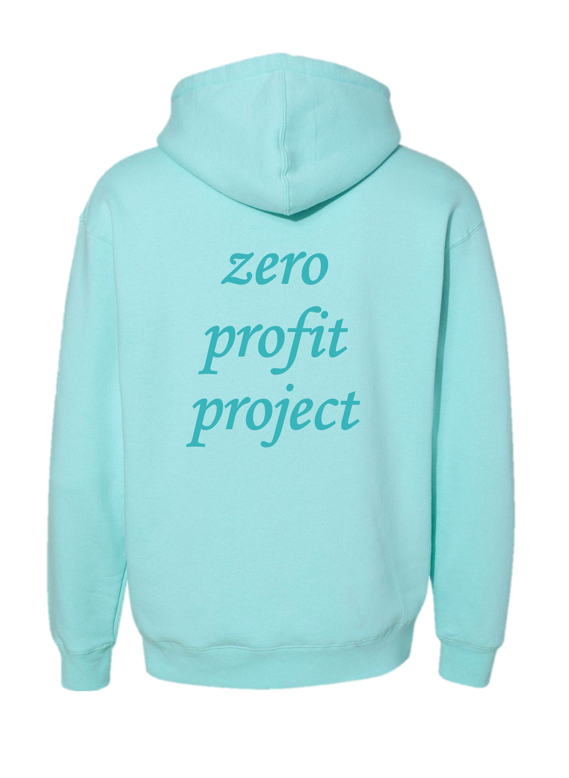 ZPT Hoodie - Mint - Back.png