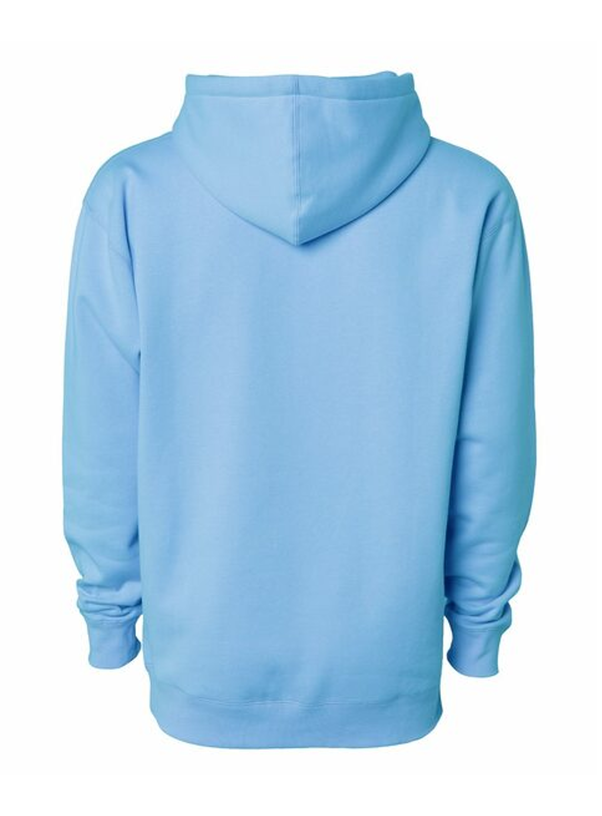 Rebel Loon Hoodie - Blue - Back.png