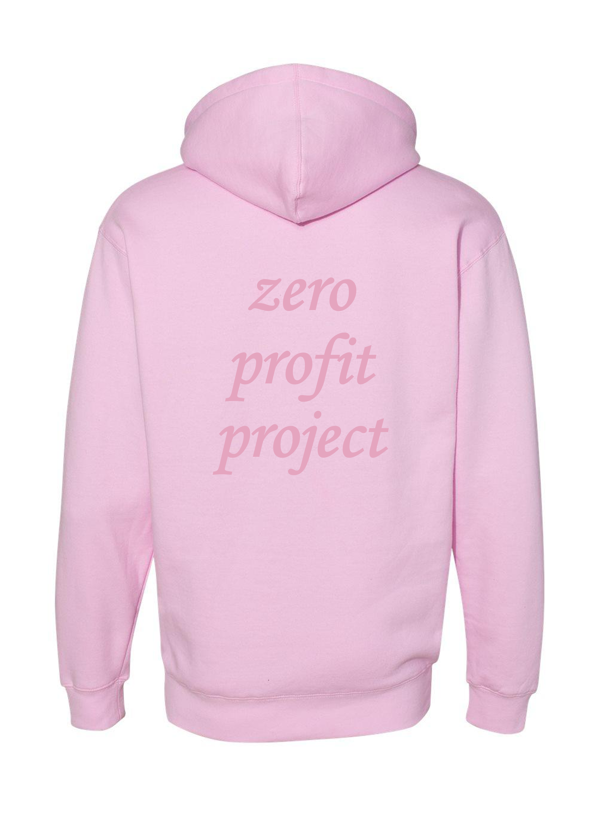 ZPT Hoodie - Light Pink - Back.png