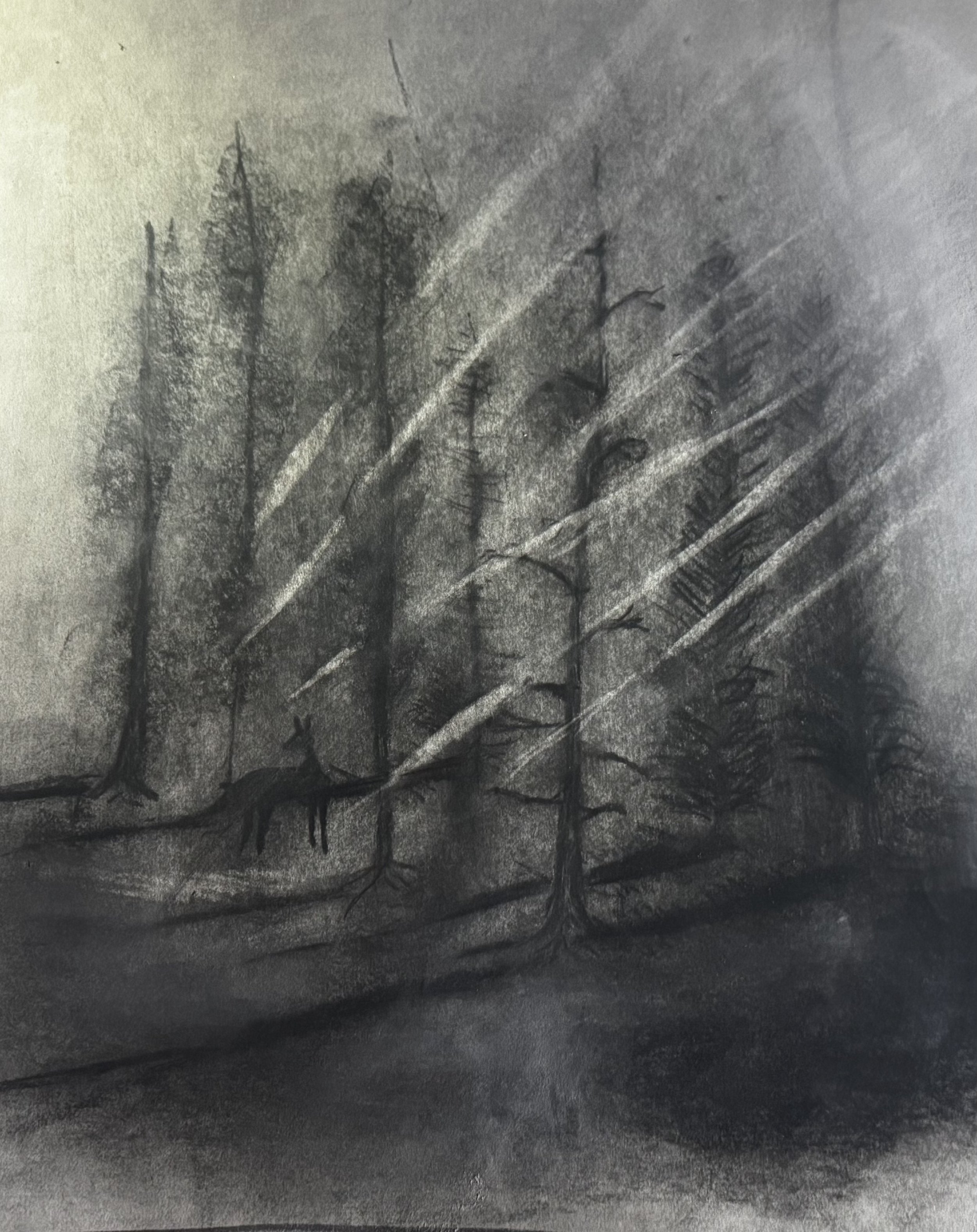 A black and white drawing of a forest scene with tall, sparse trees, some with broken branches, and a deer standing near the center of the image.