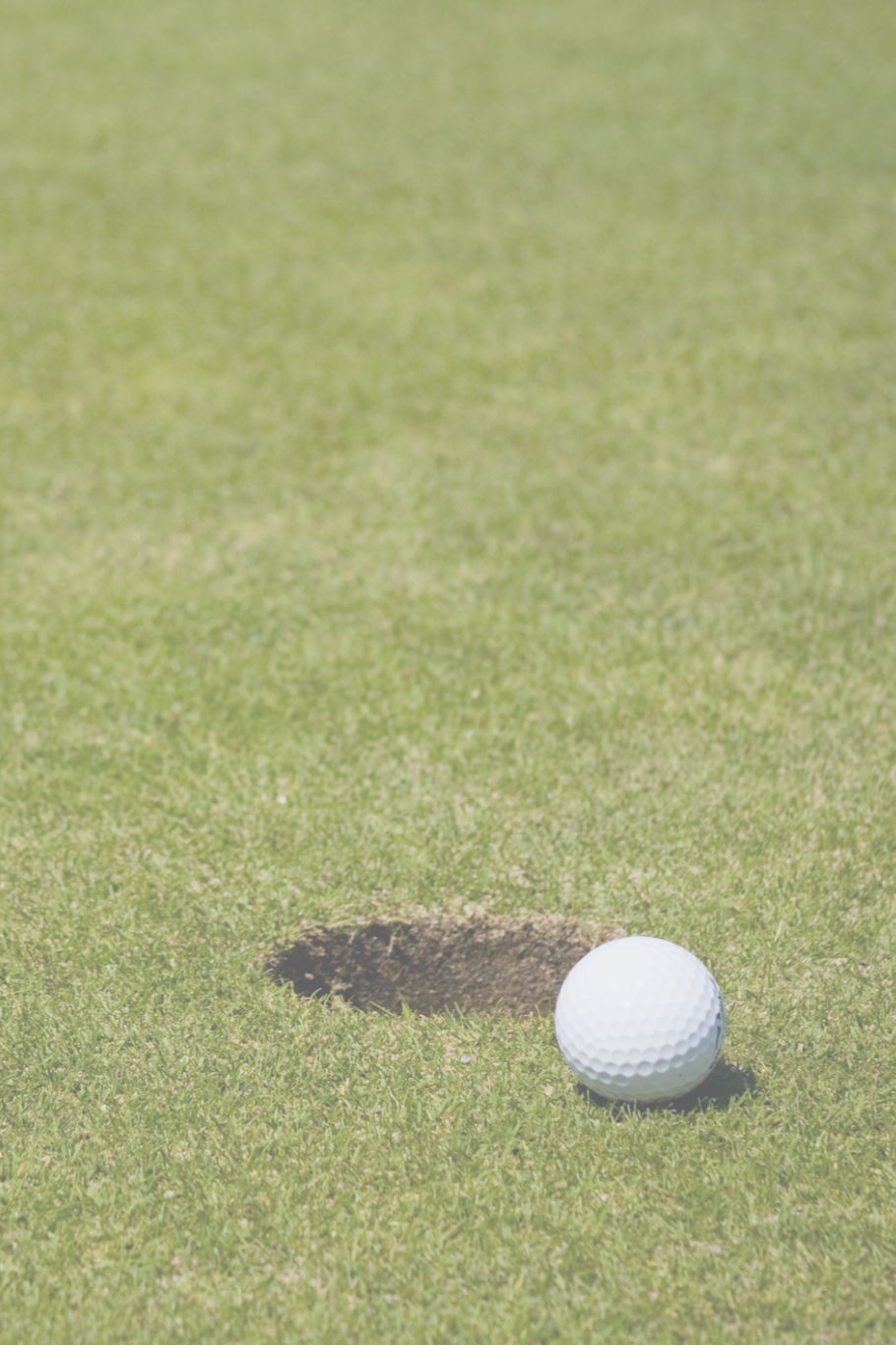 A Place for Everything and Everything in Its Place