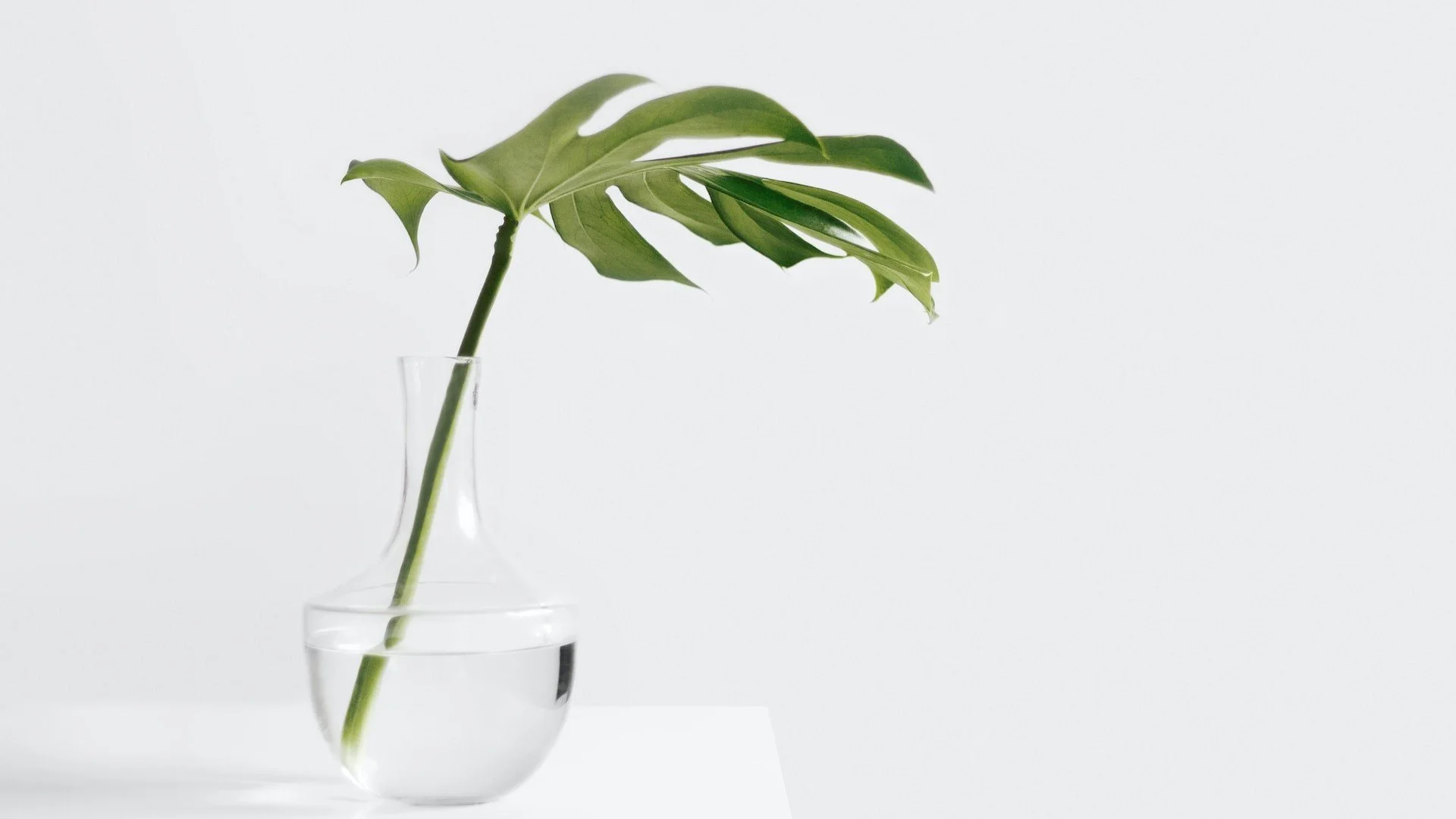 Chicago Home Organizer Pricing Demystified