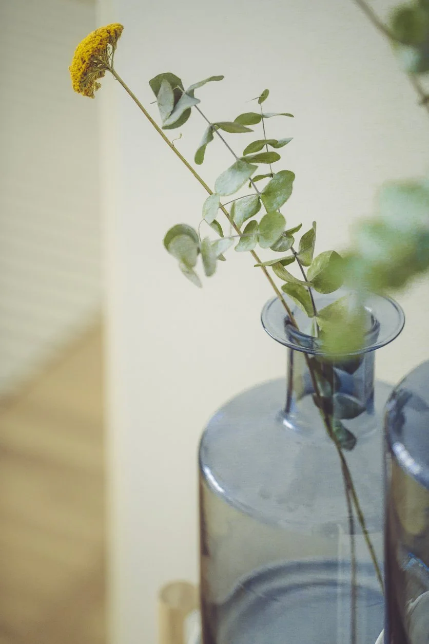 How I Went from Dreaming About Home Organizing to Running a Thriving Business, And How You Can Too