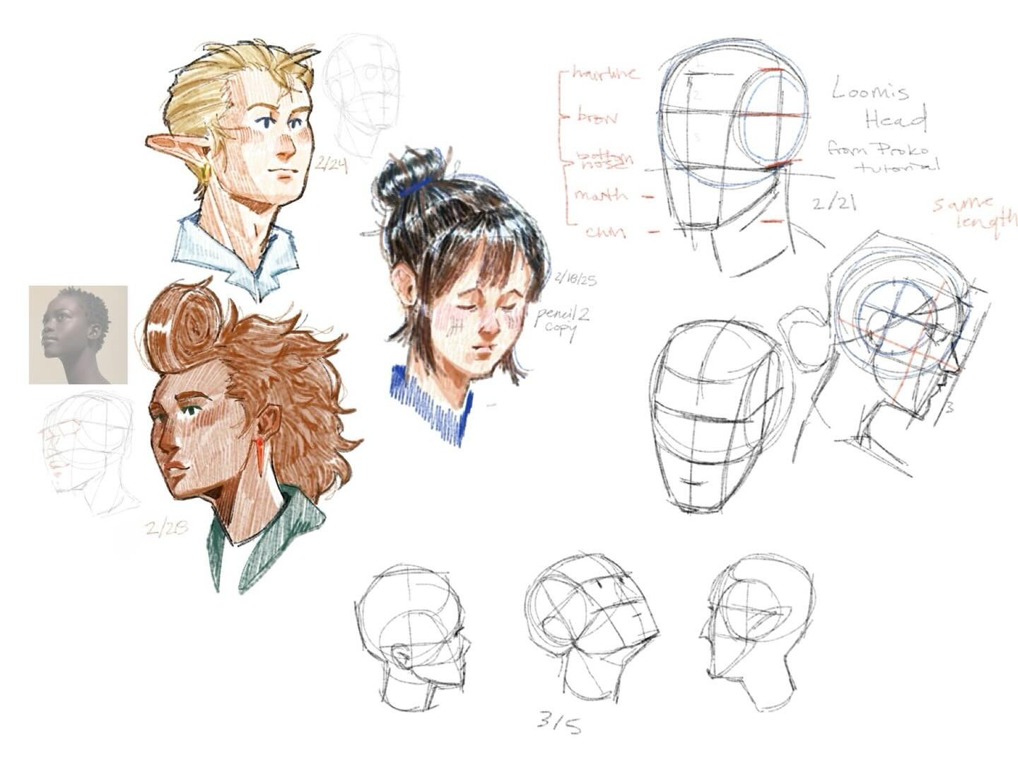 ✏️Just some quick sketches using the Loomis method. I don&rsquo;t use this method regularly (I mix and match a few!) but it was nice to test it out. The notes are from Proko&rsquo;s lesson on the Loomis method! Ft. a random doodle, Sparrow, Gale, and