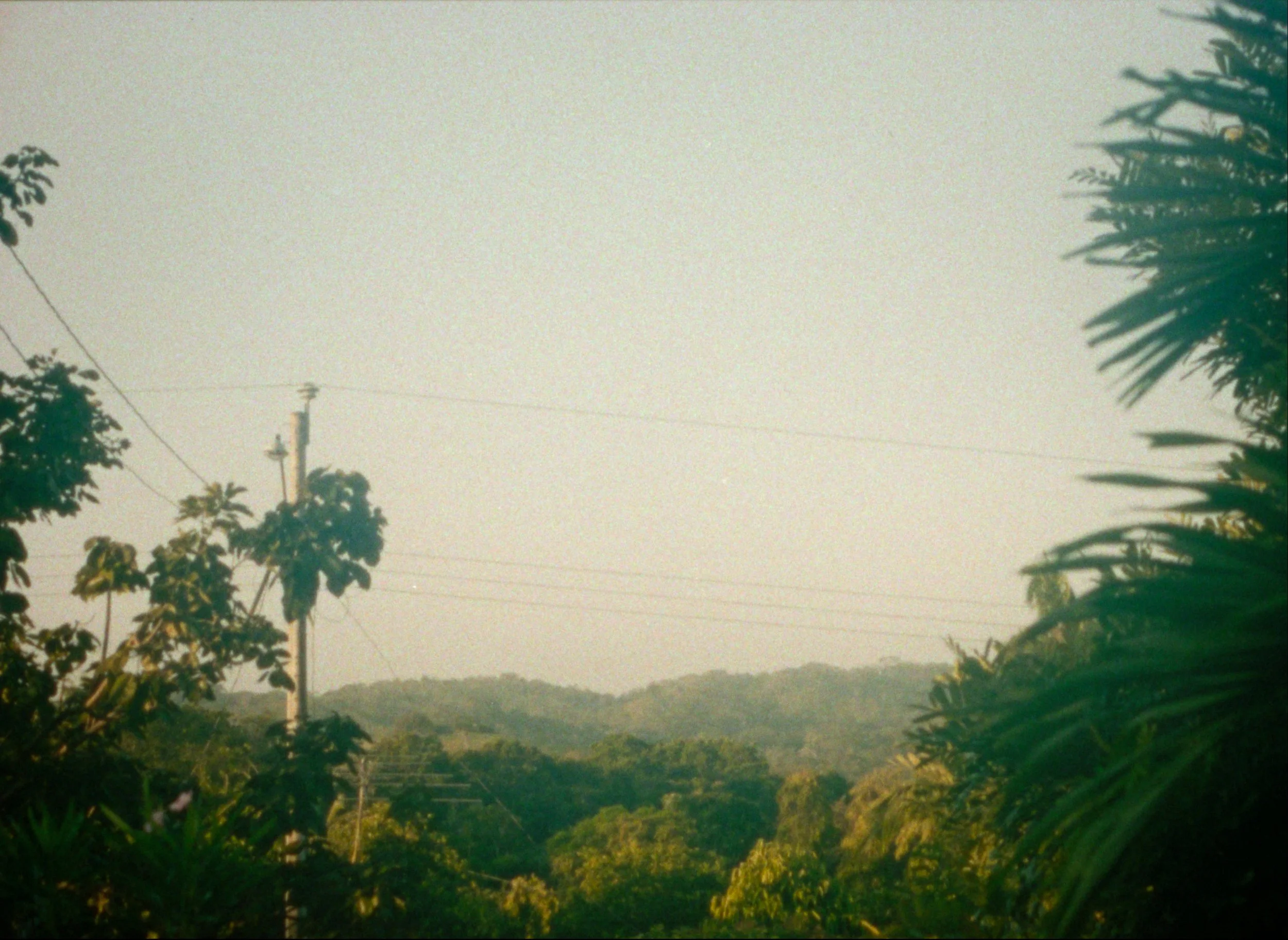 Landscape view of lush green trees with rolling hills in the background and power lines crossing the sky.